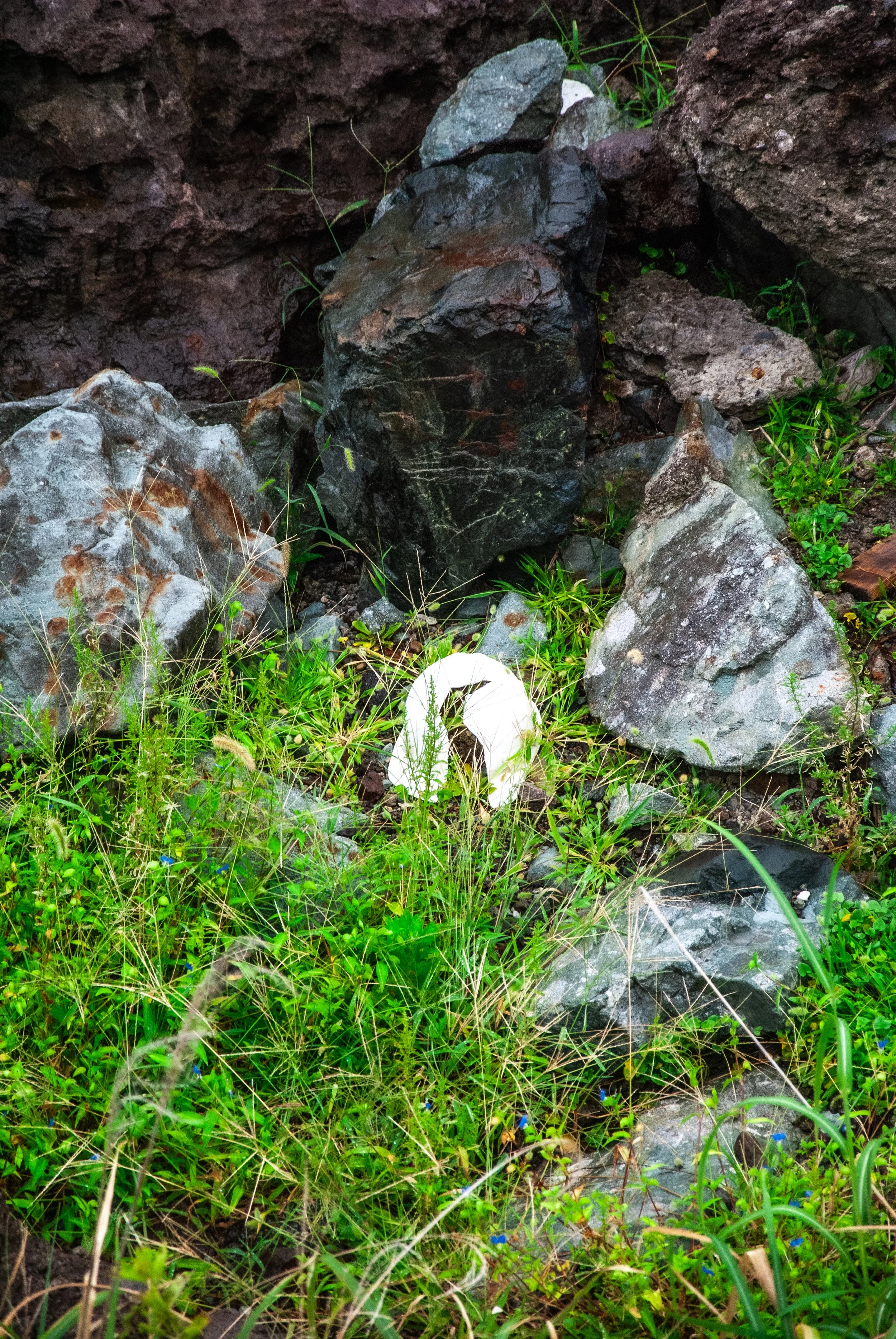 二ツ亀と長国寺 (6).jpg