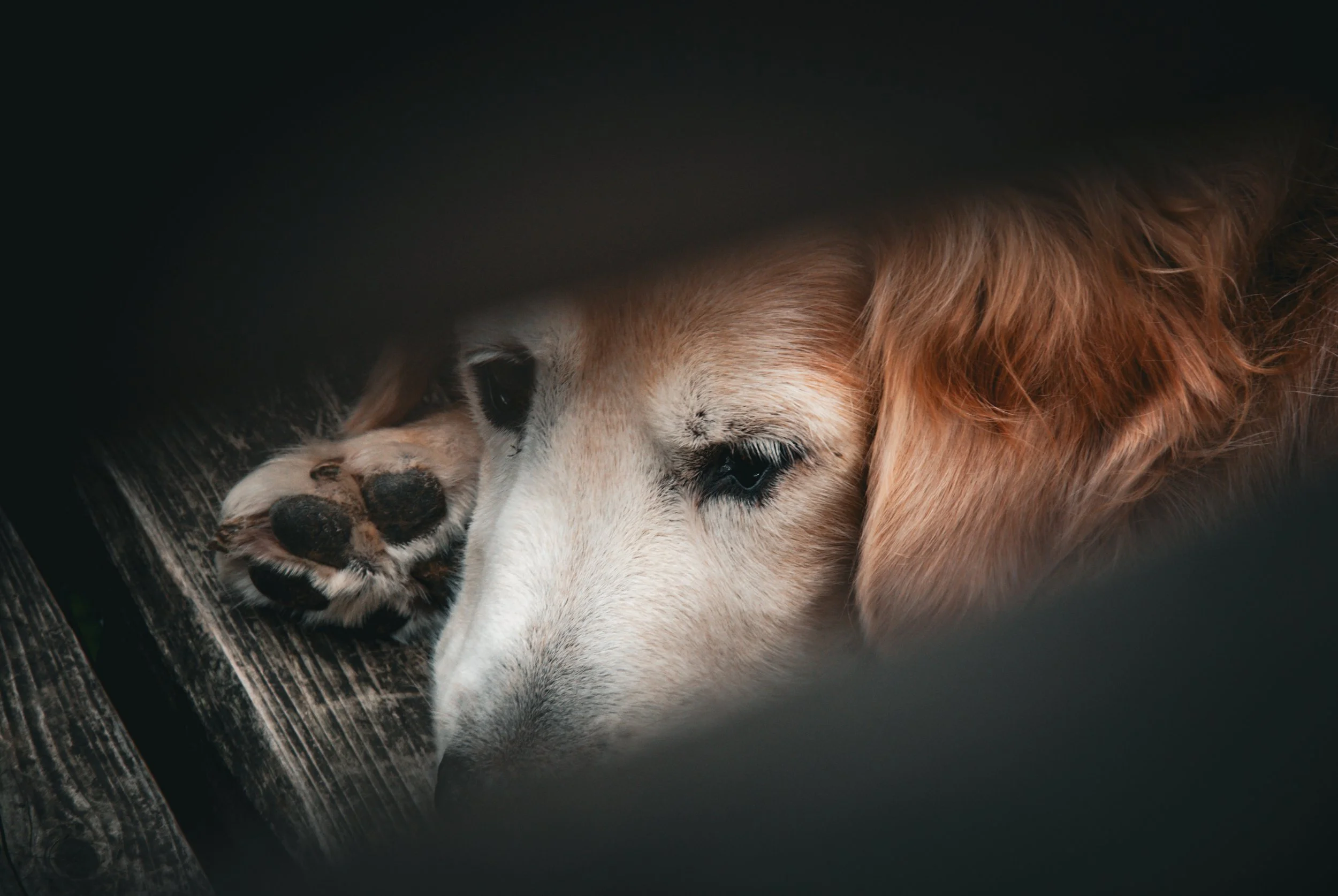 二ツ亀と長国寺 (29).jpg