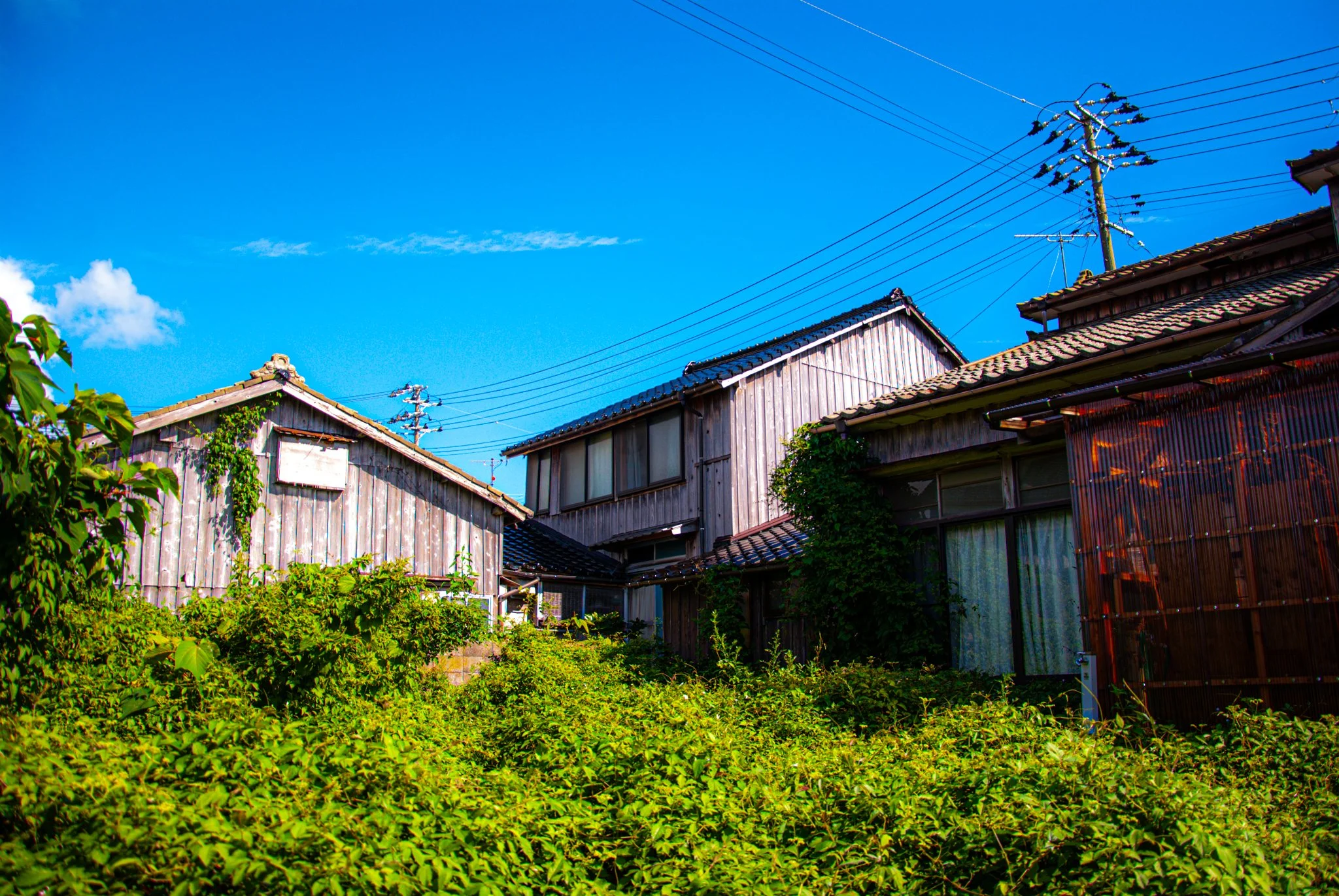 最初の習慣 (47).jpg