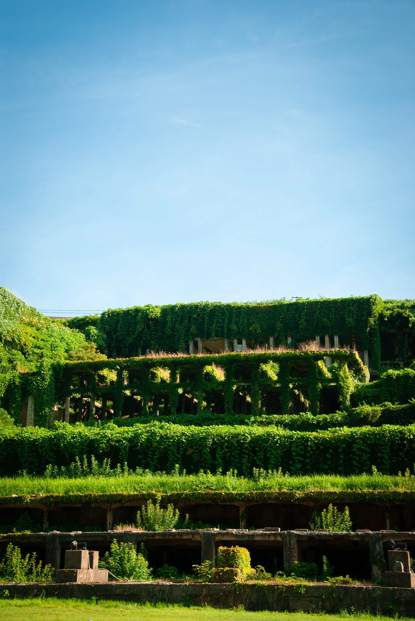 最初の習慣 (52).jpg