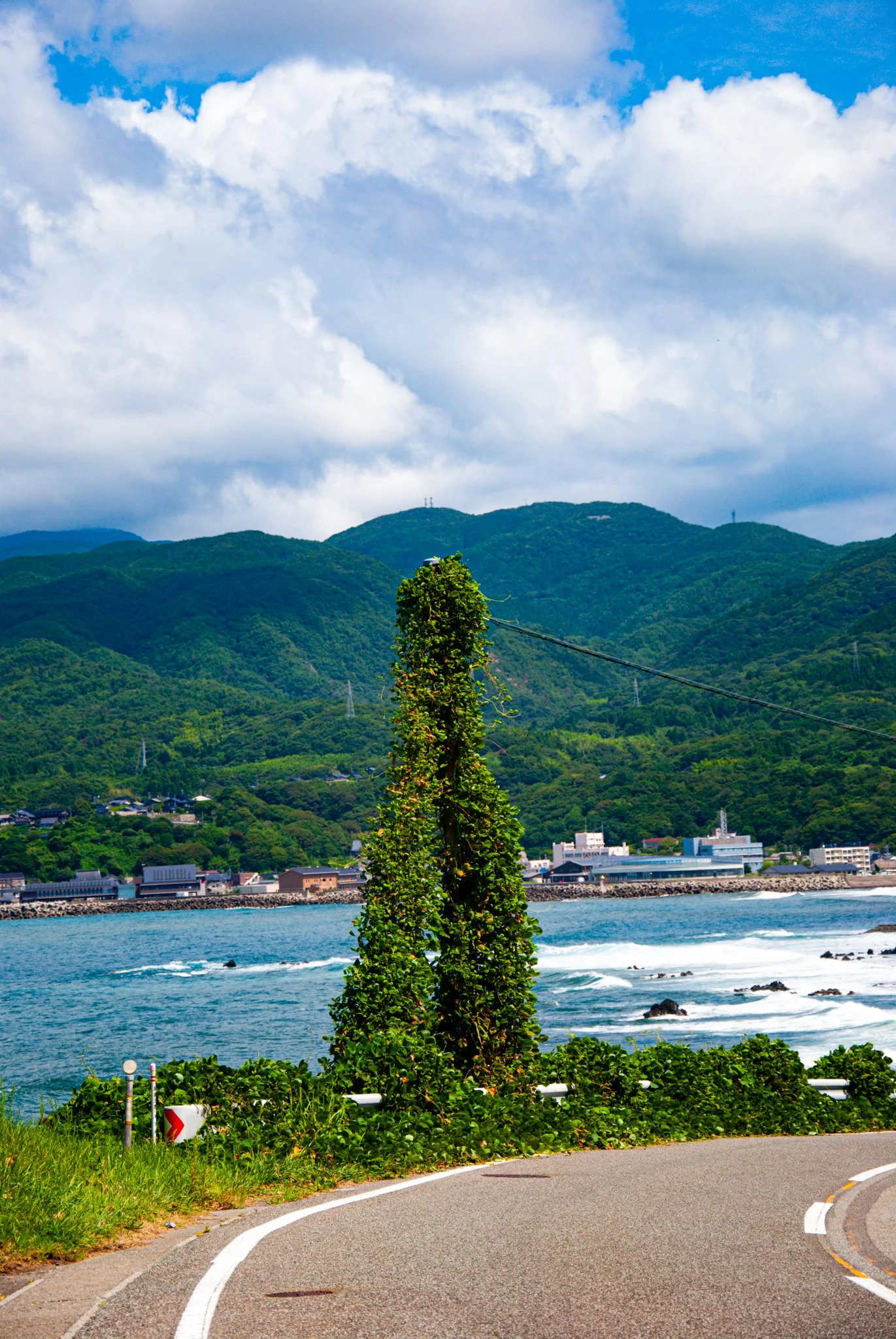 最初の習慣 (39).jpg