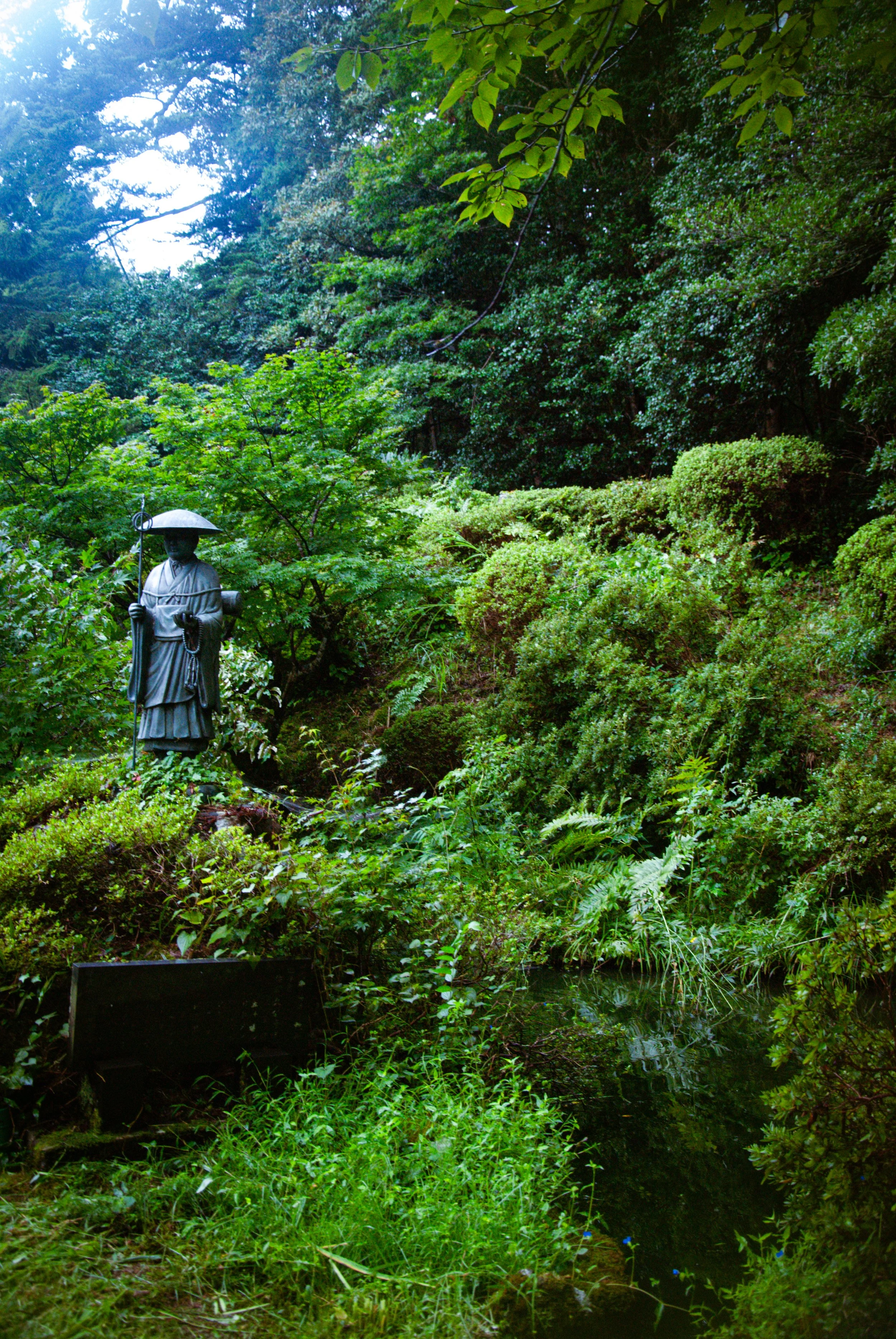 散歩 (2).jpg