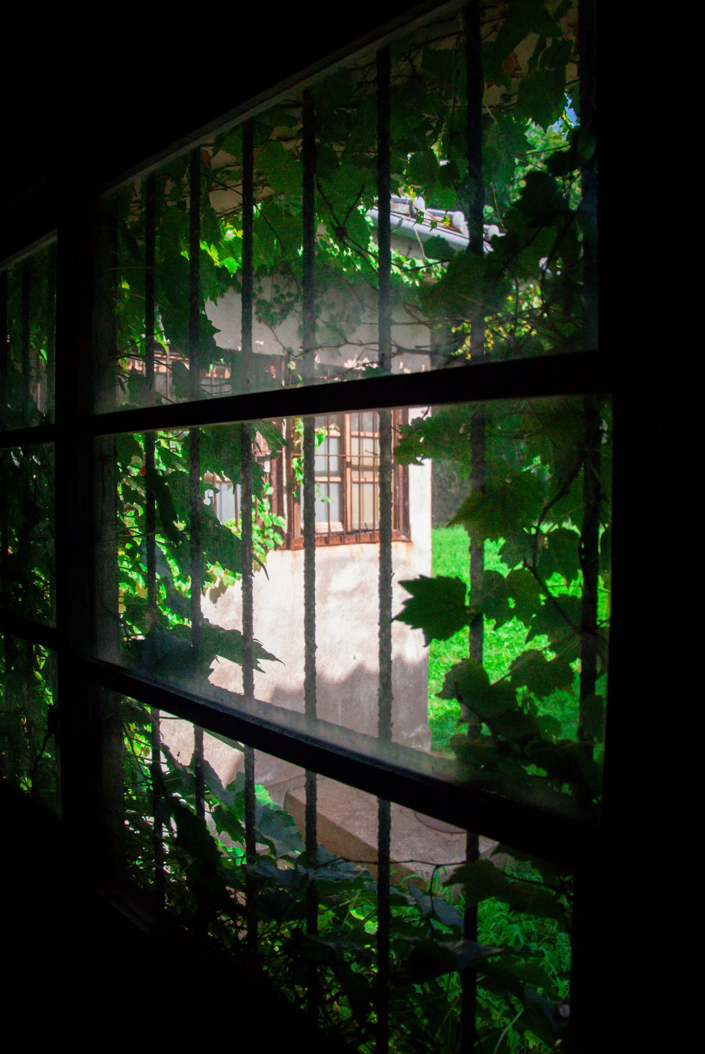 最初の習慣 (50).jpg