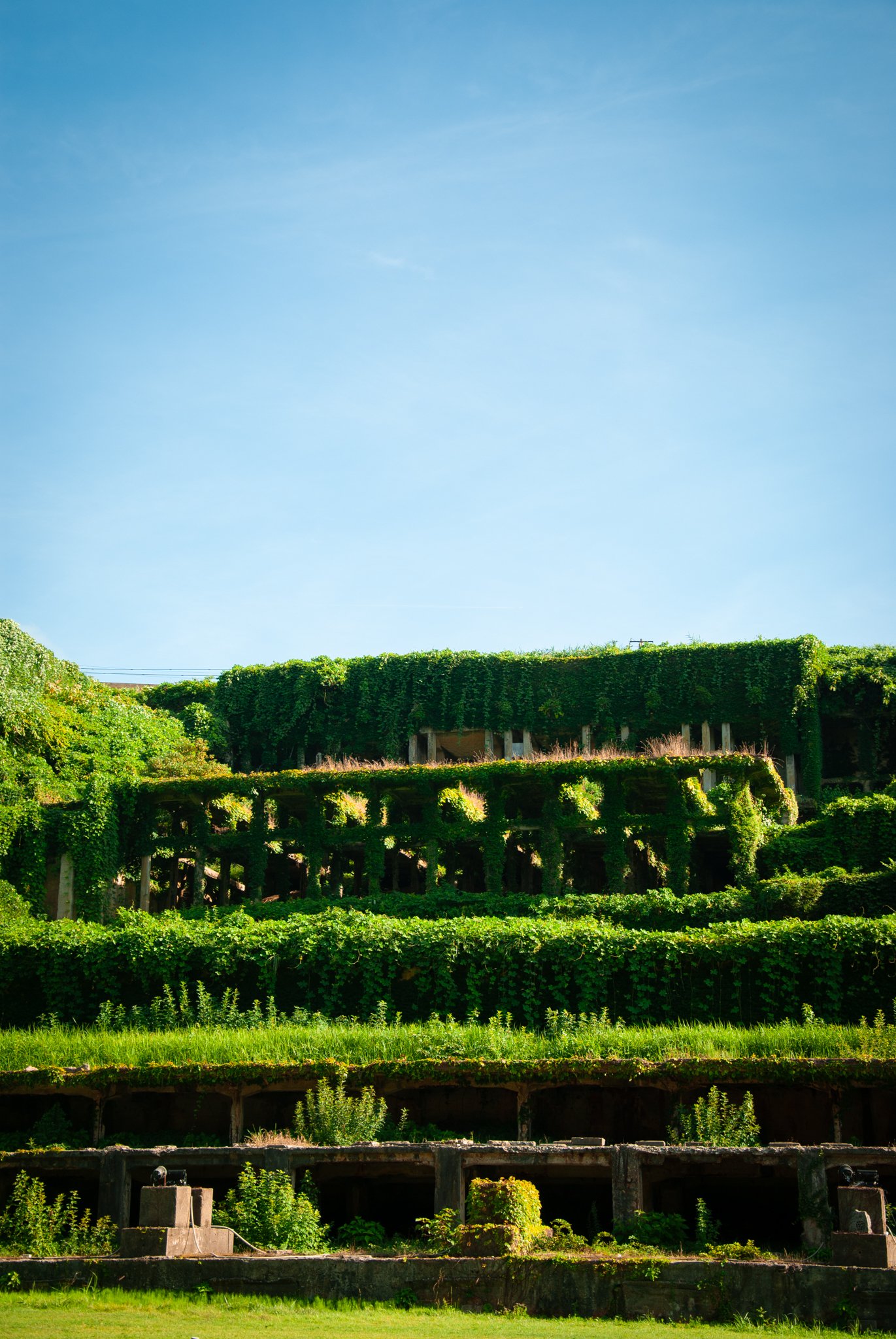 最初の習慣 (52).jpg