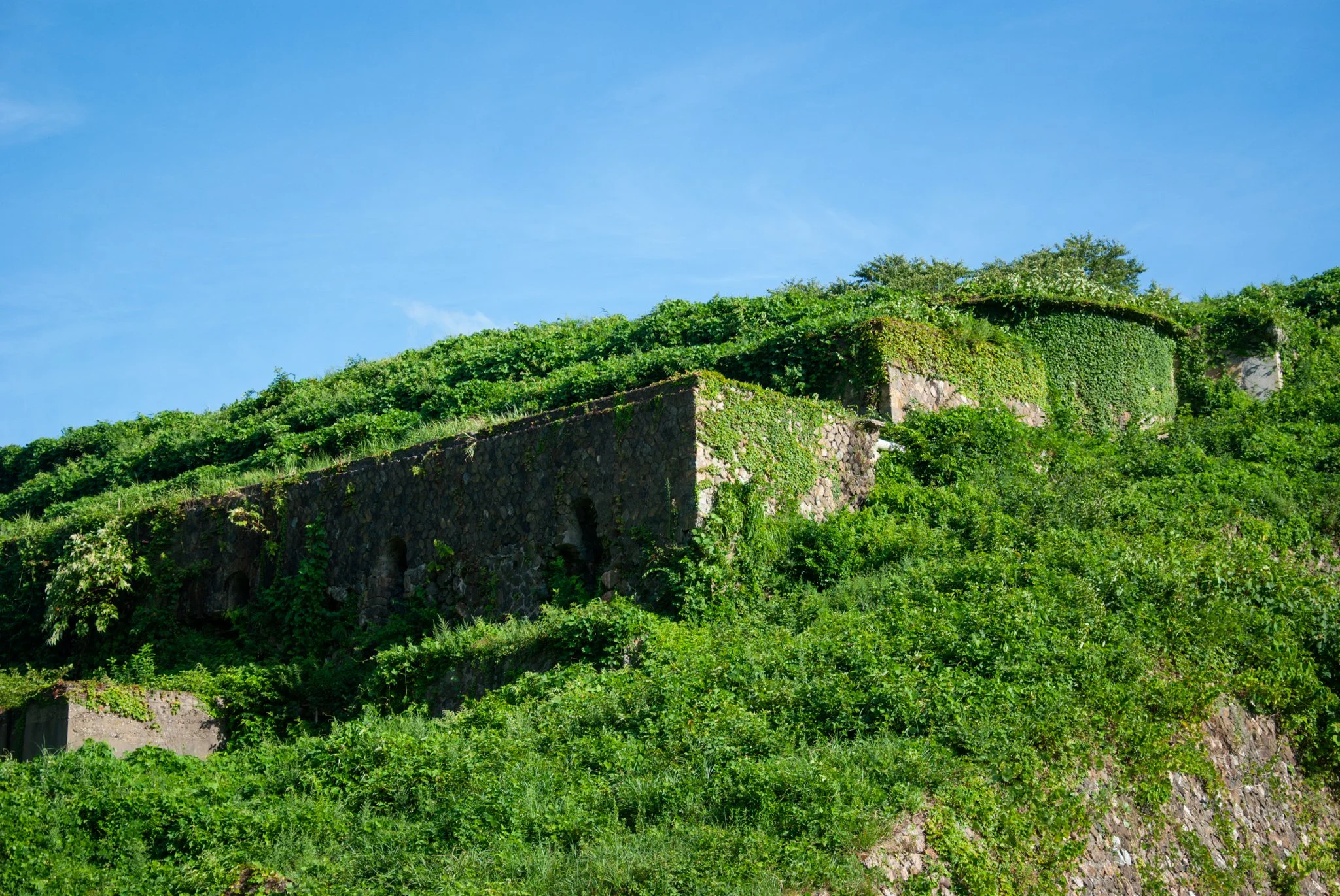 最初の習慣 (53) - Copy.jpg