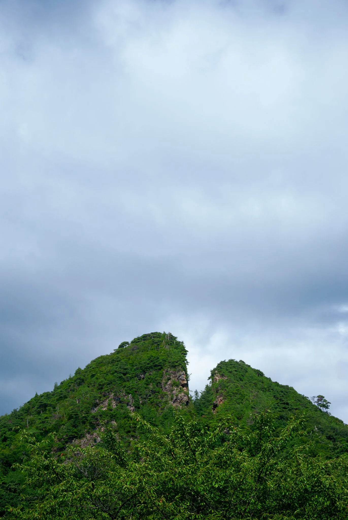 最初の習慣 (44).jpg