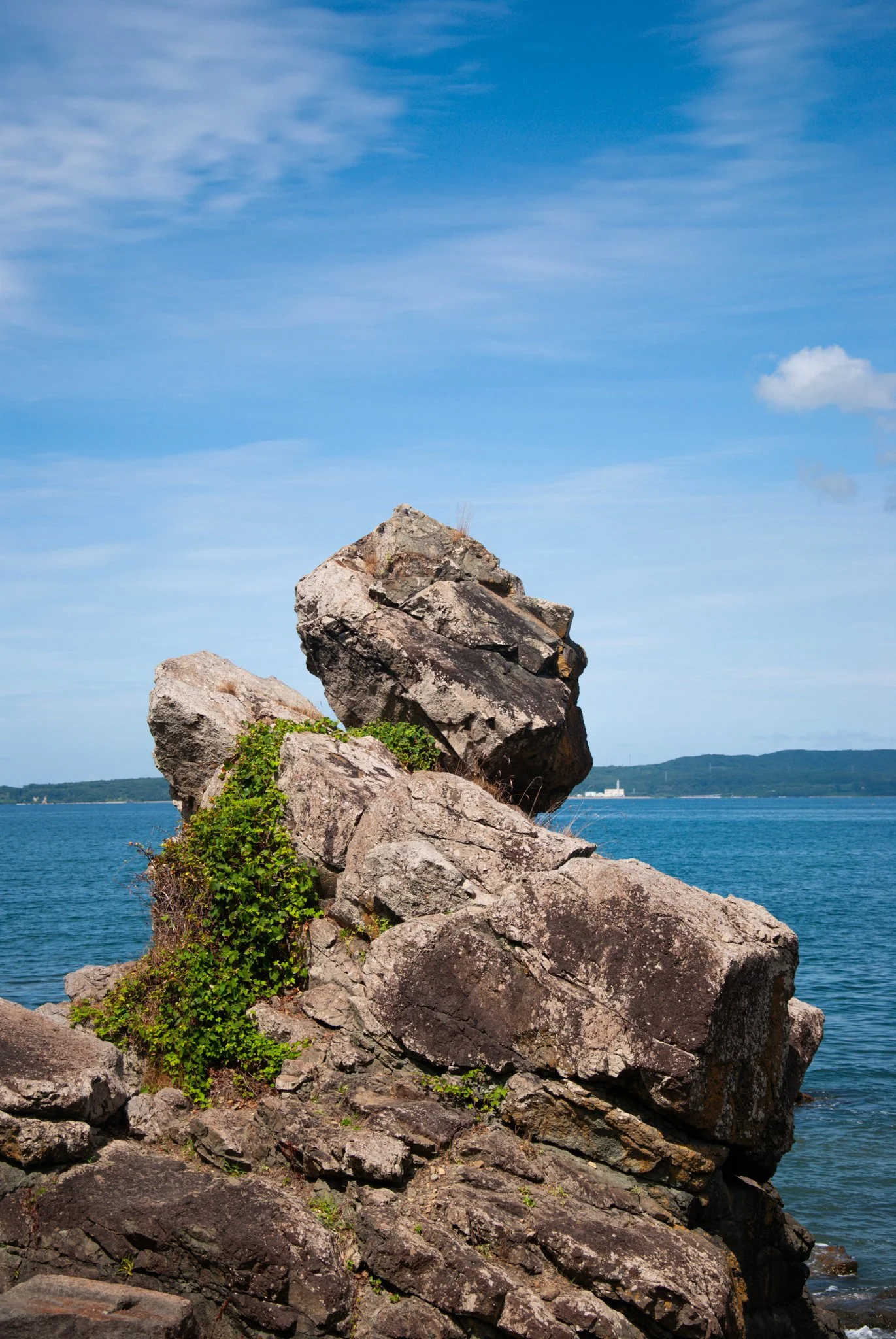 最初の習慣 (35).jpg