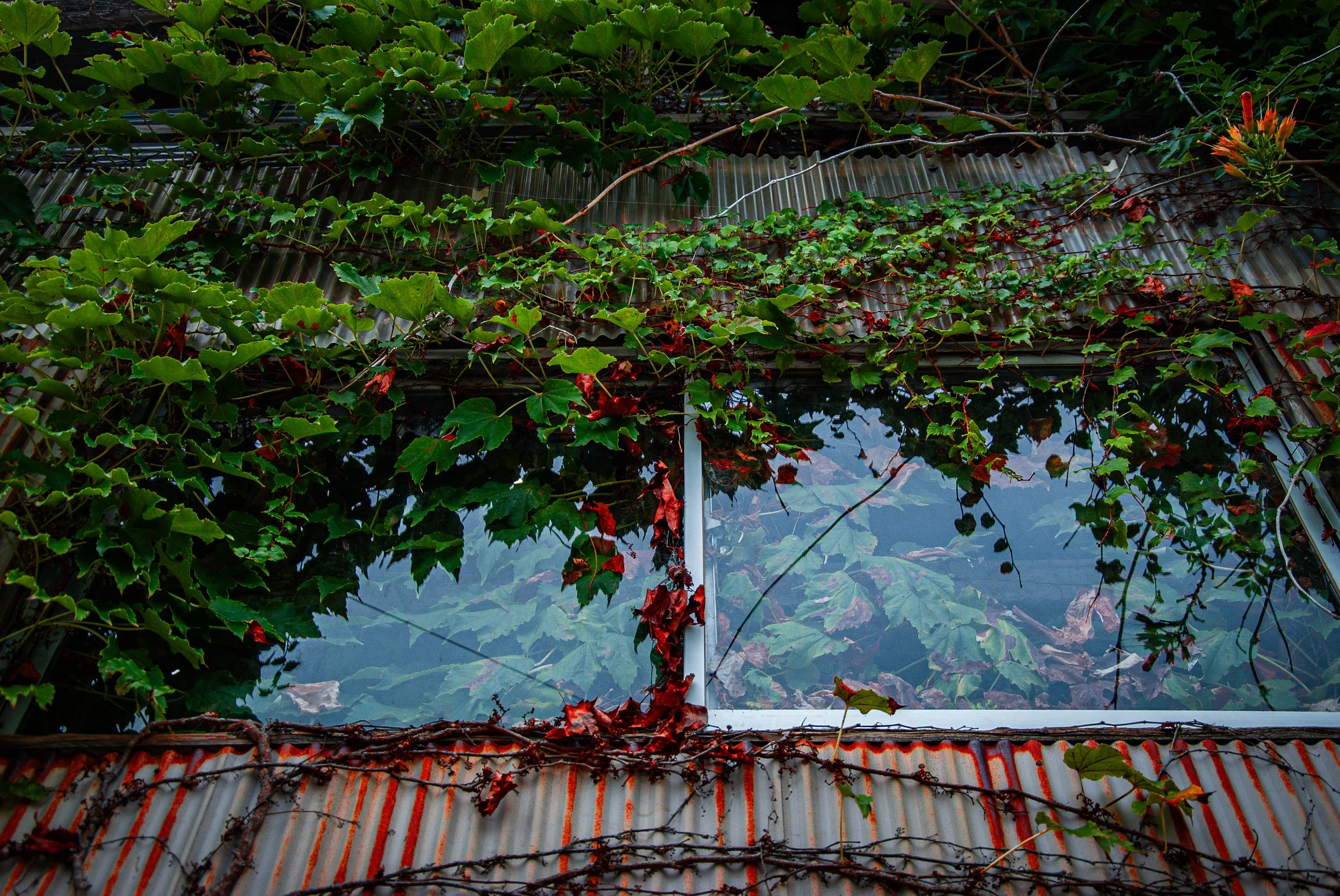 両津と色んな場所 (34).jpg