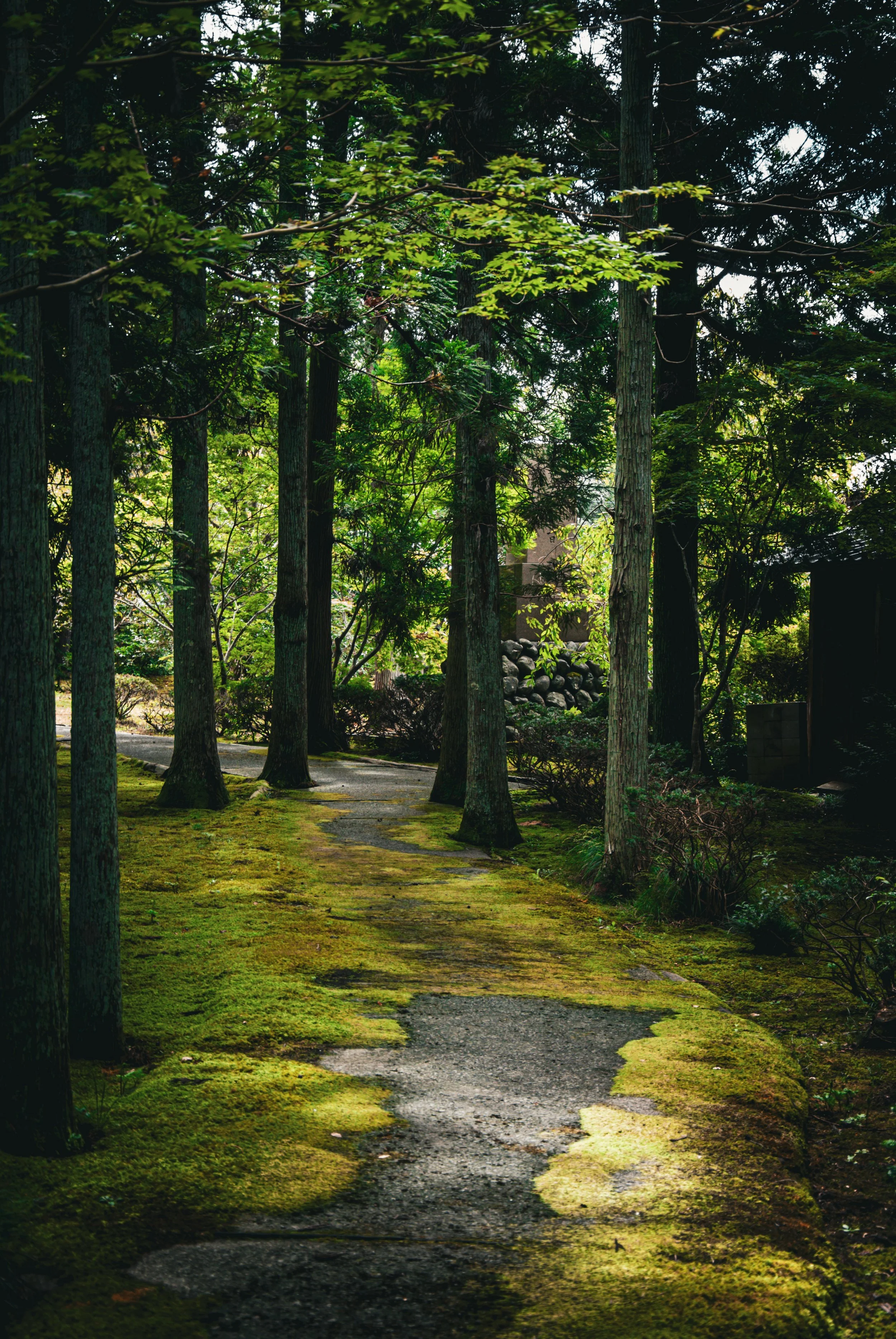 こんぽんじと祭り (13).jpg