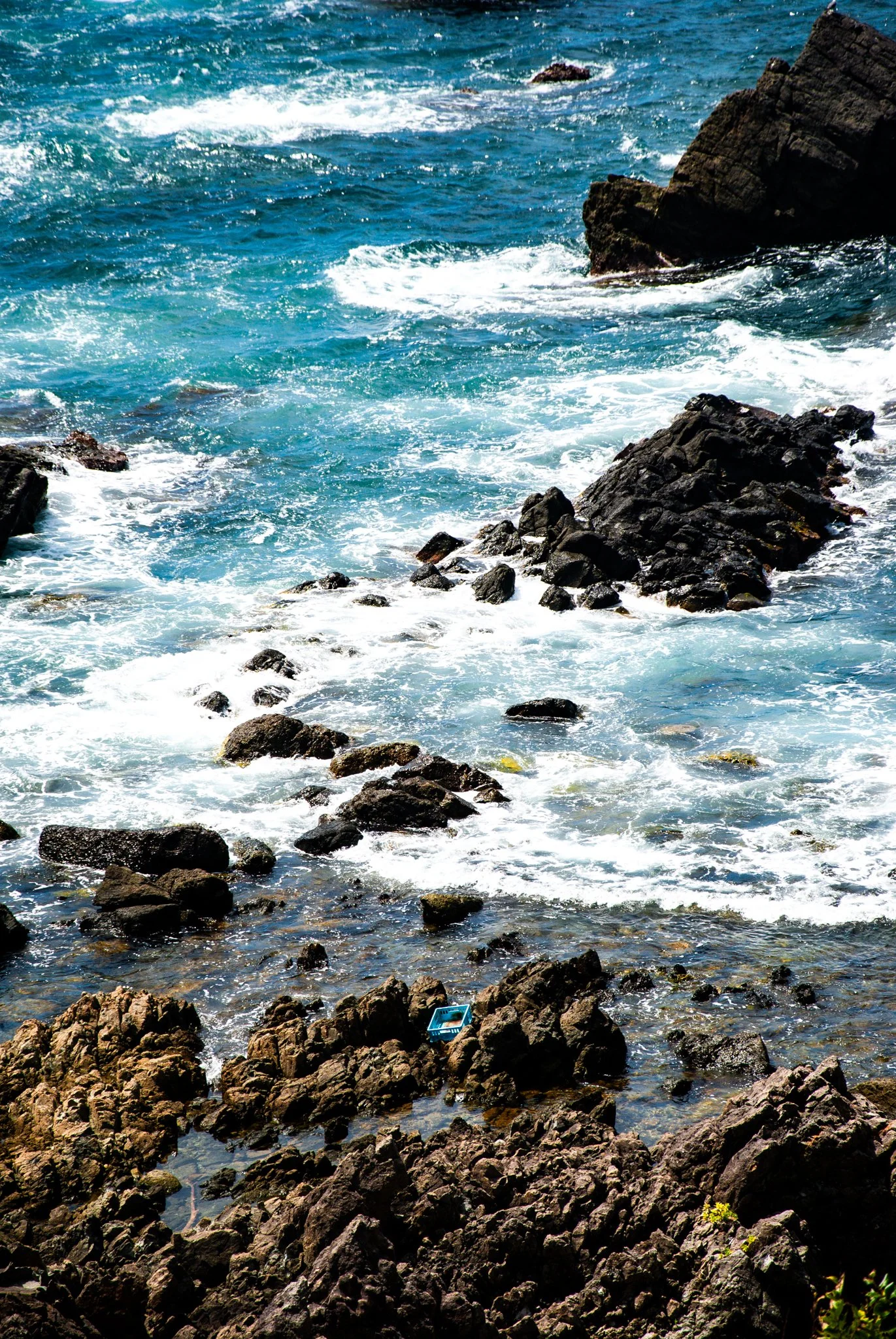 最初の習慣 (38).jpg