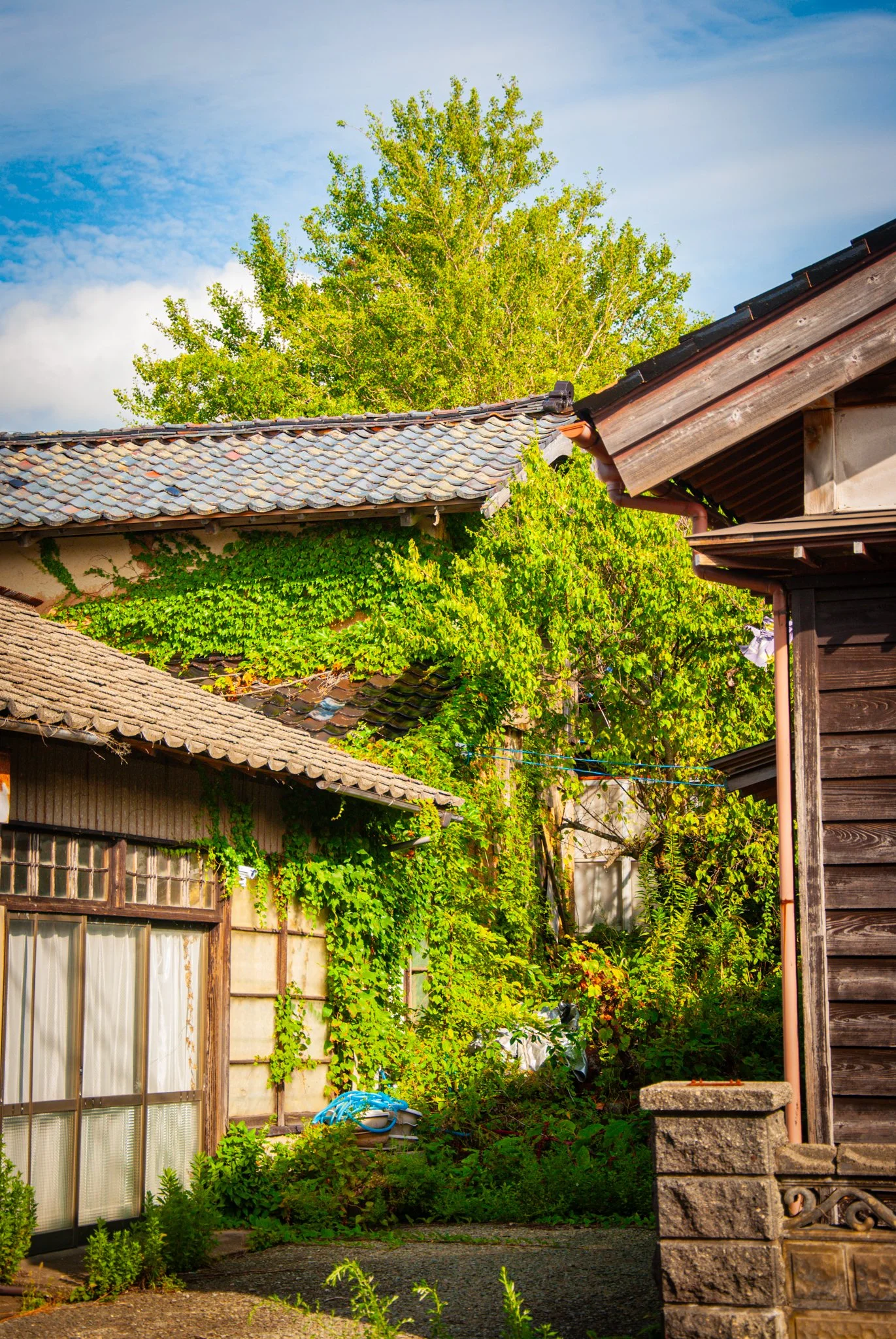 最初の習慣 (61).jpg