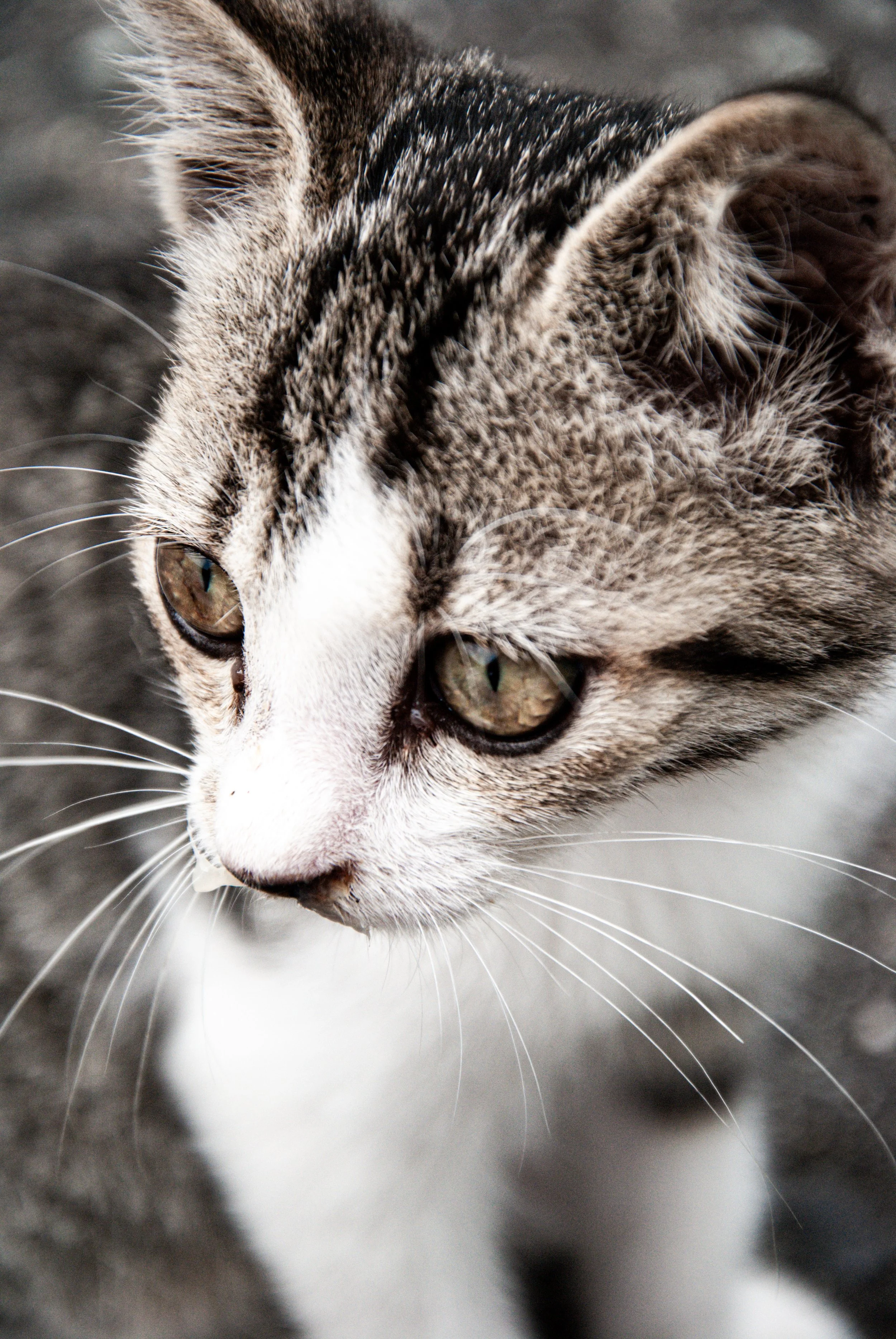 両津と色んな場所 (39).jpg