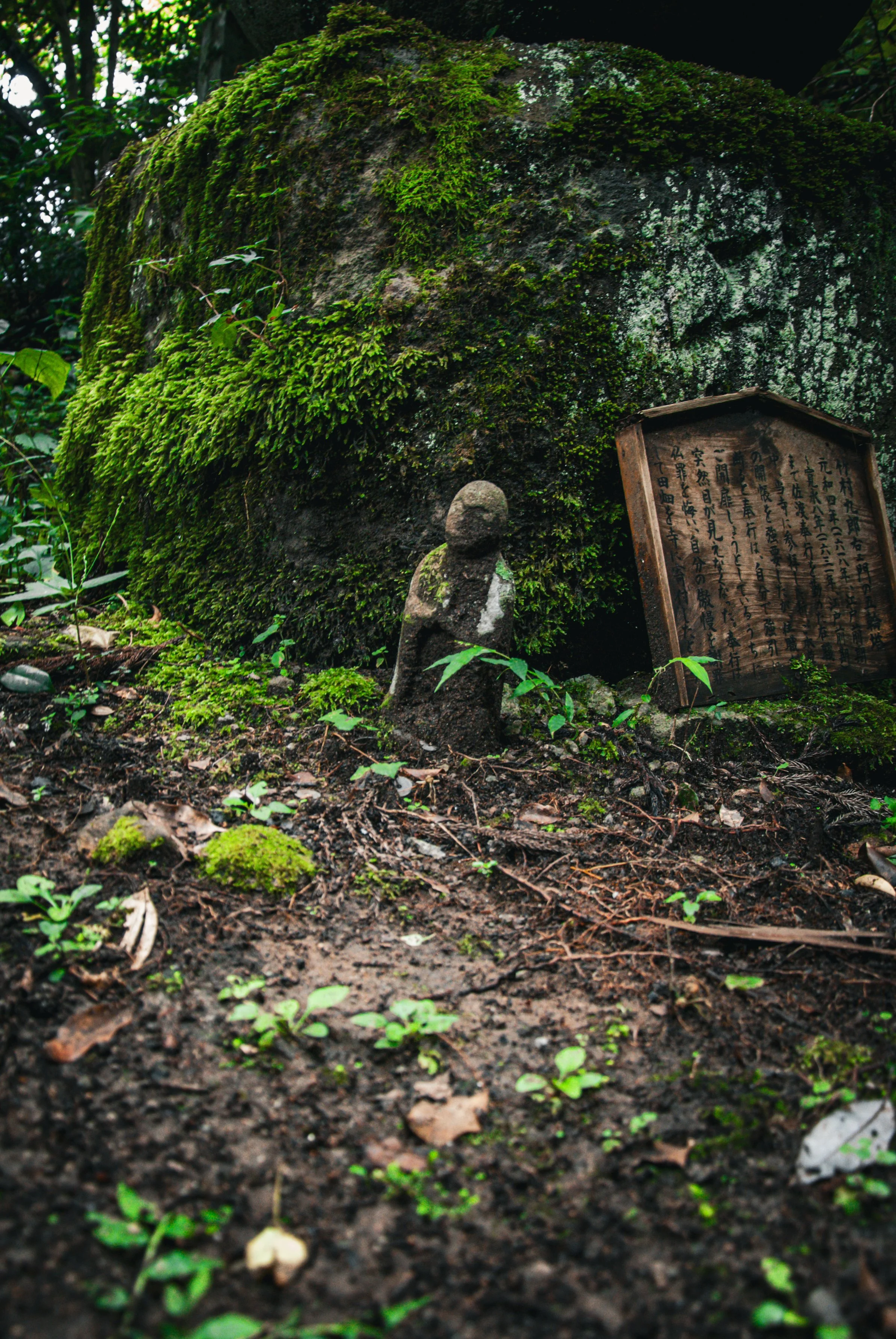 二ツ亀と長国寺 (19).jpg