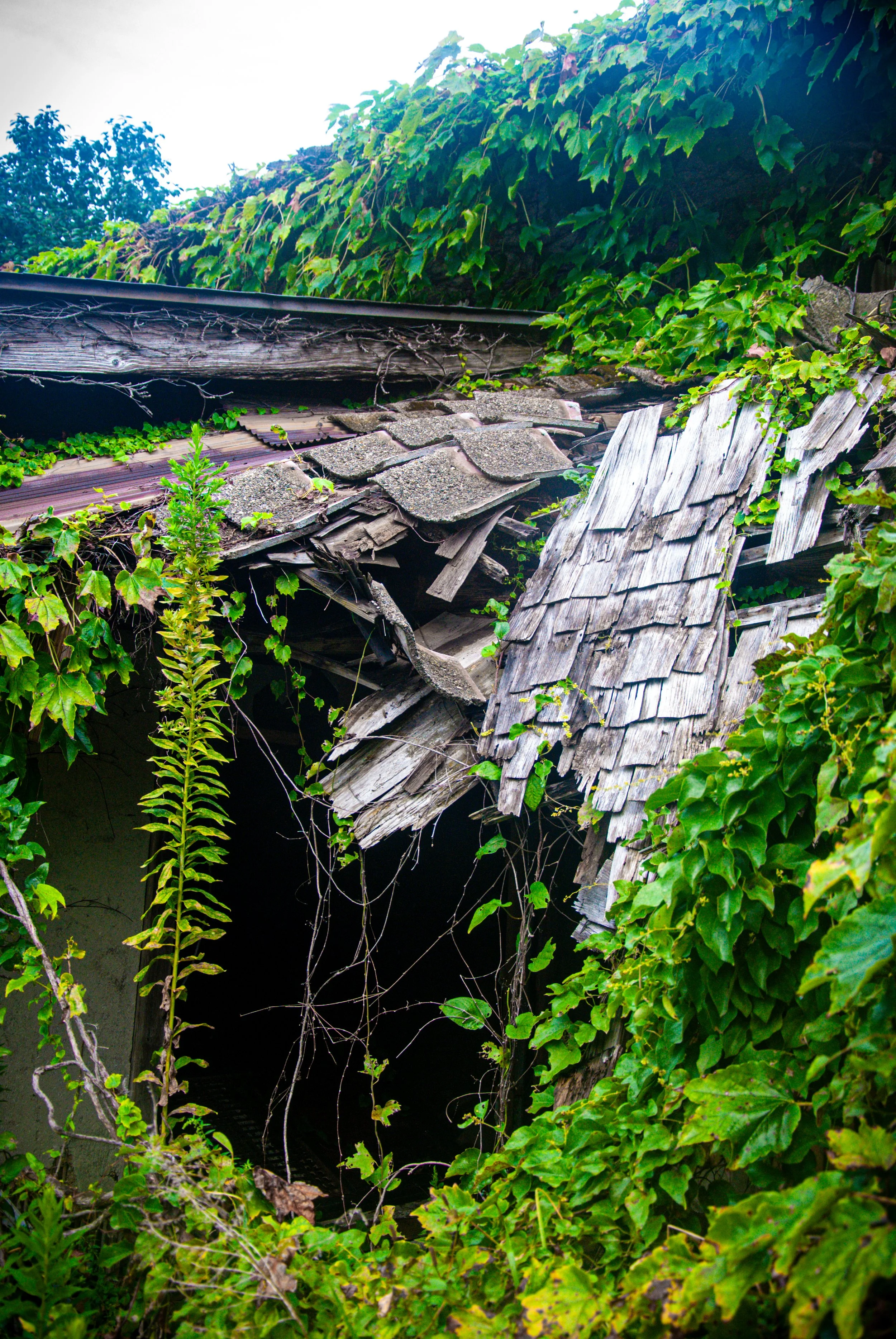 両津と色んな場所 (4).jpg