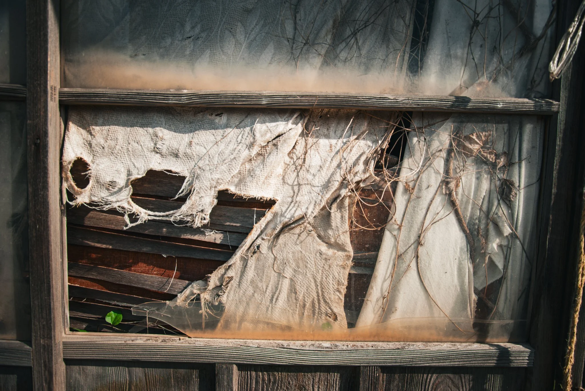 最初の習慣 (59).jpg