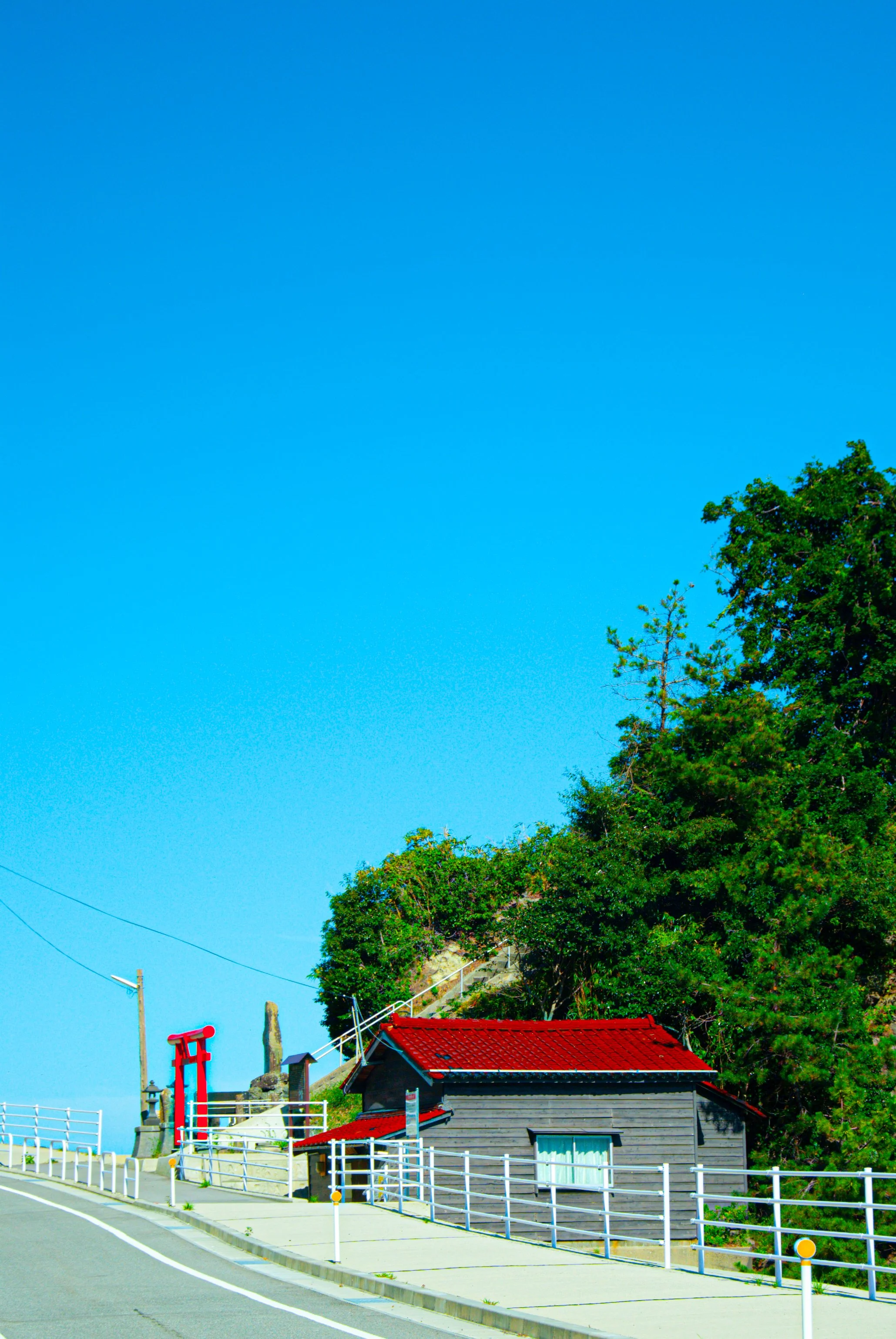 太古の日 (8).jpg