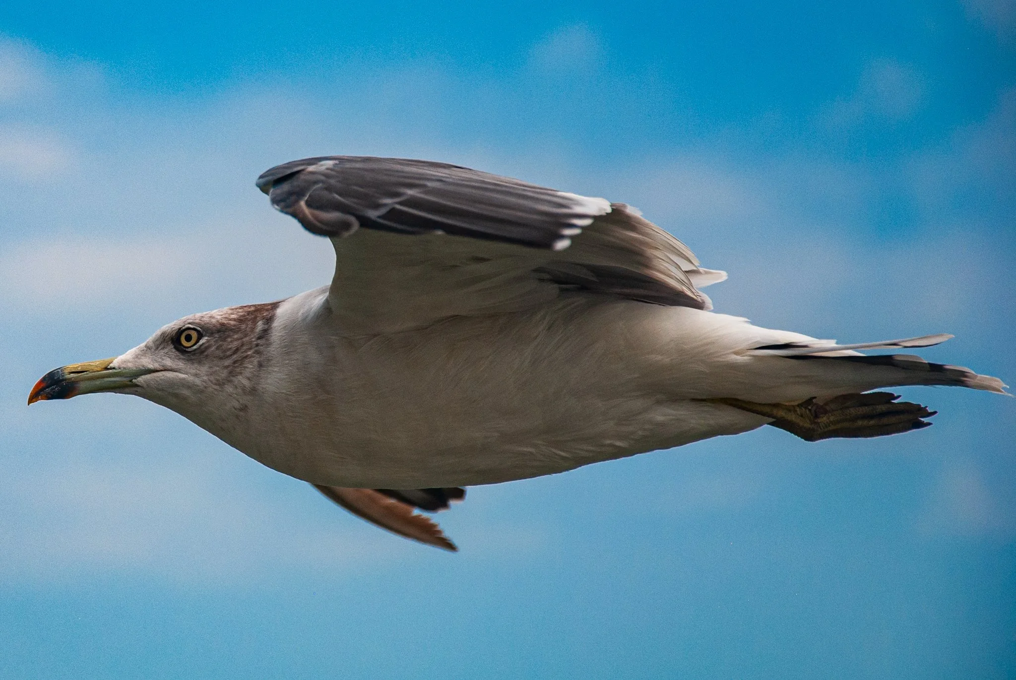 最初の習慣 (19).jpg