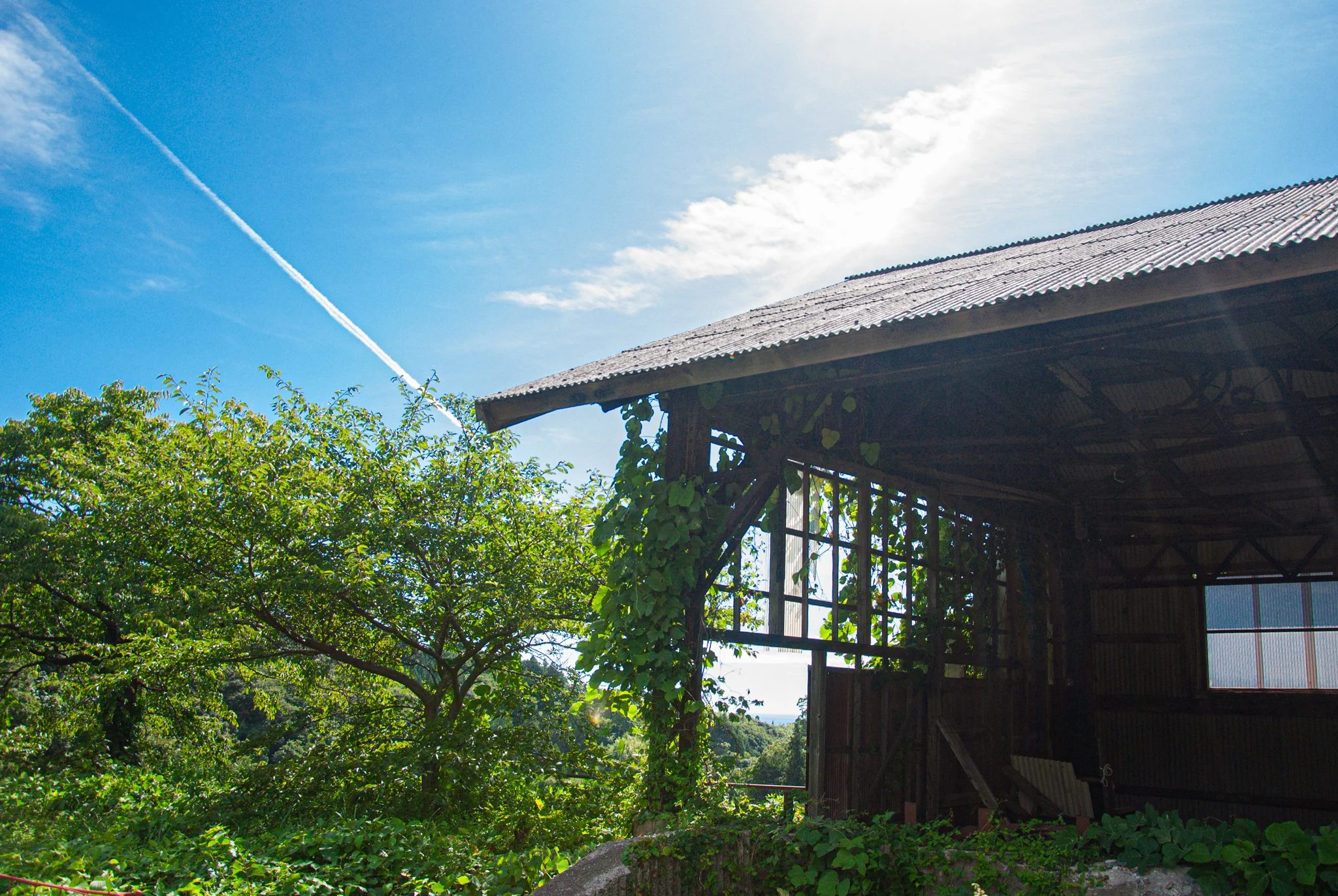 最初の習慣 (45).jpg