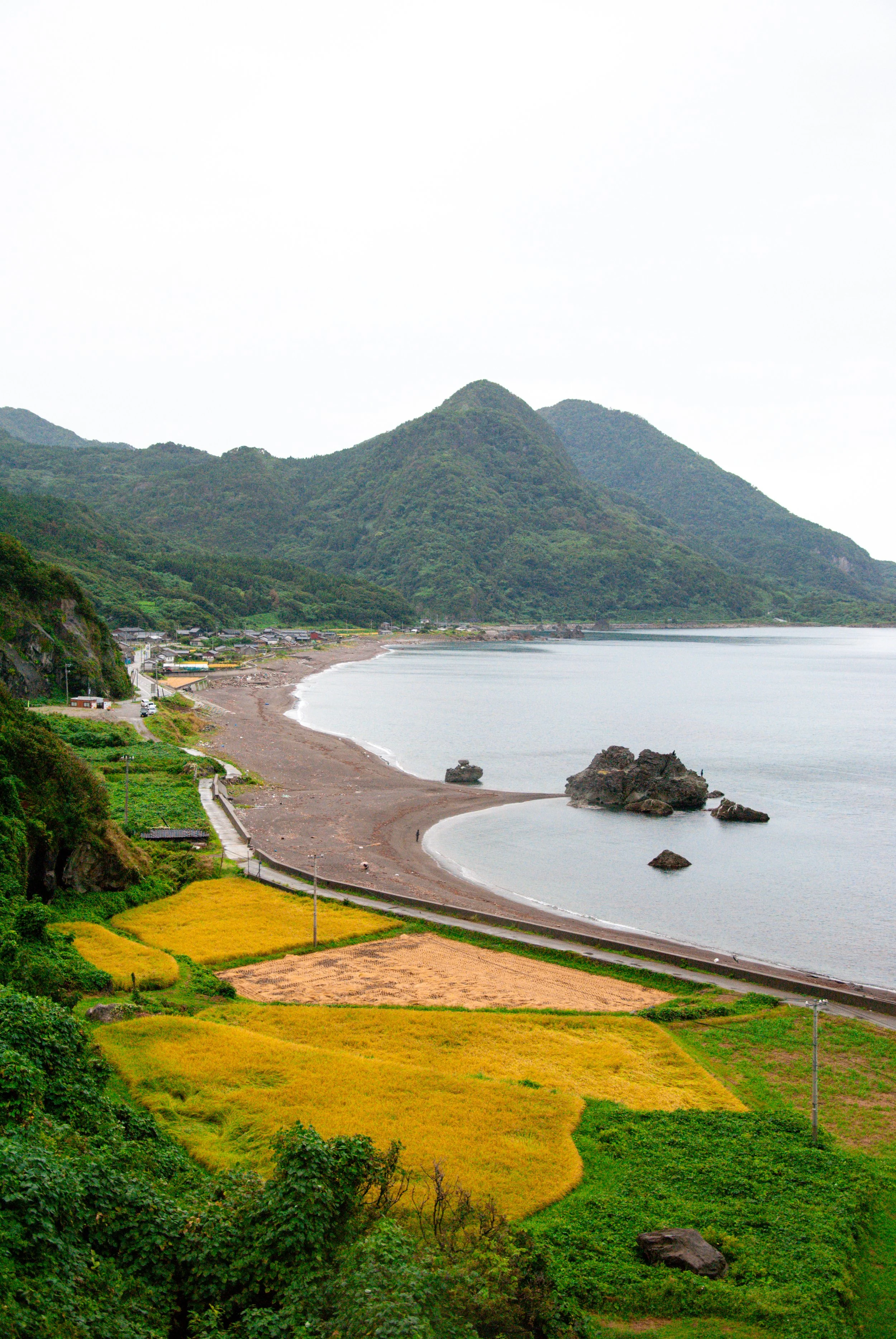 二ツ亀と長国寺 (9).jpg