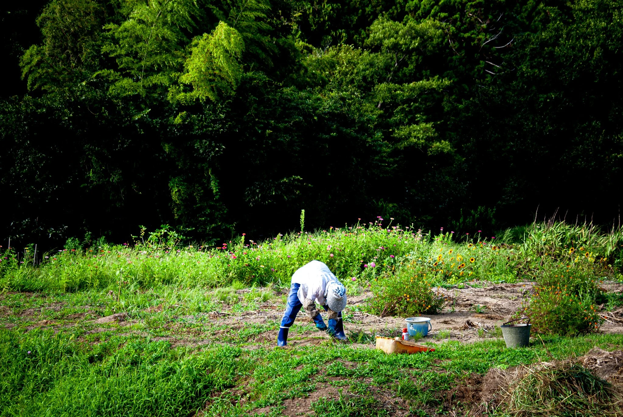 最初の習慣 (8).jpg