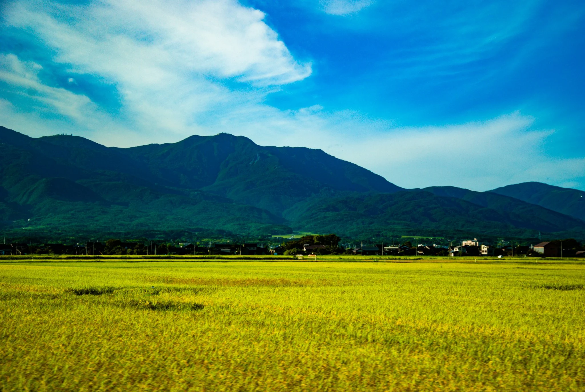 最初の習慣 (58).jpg