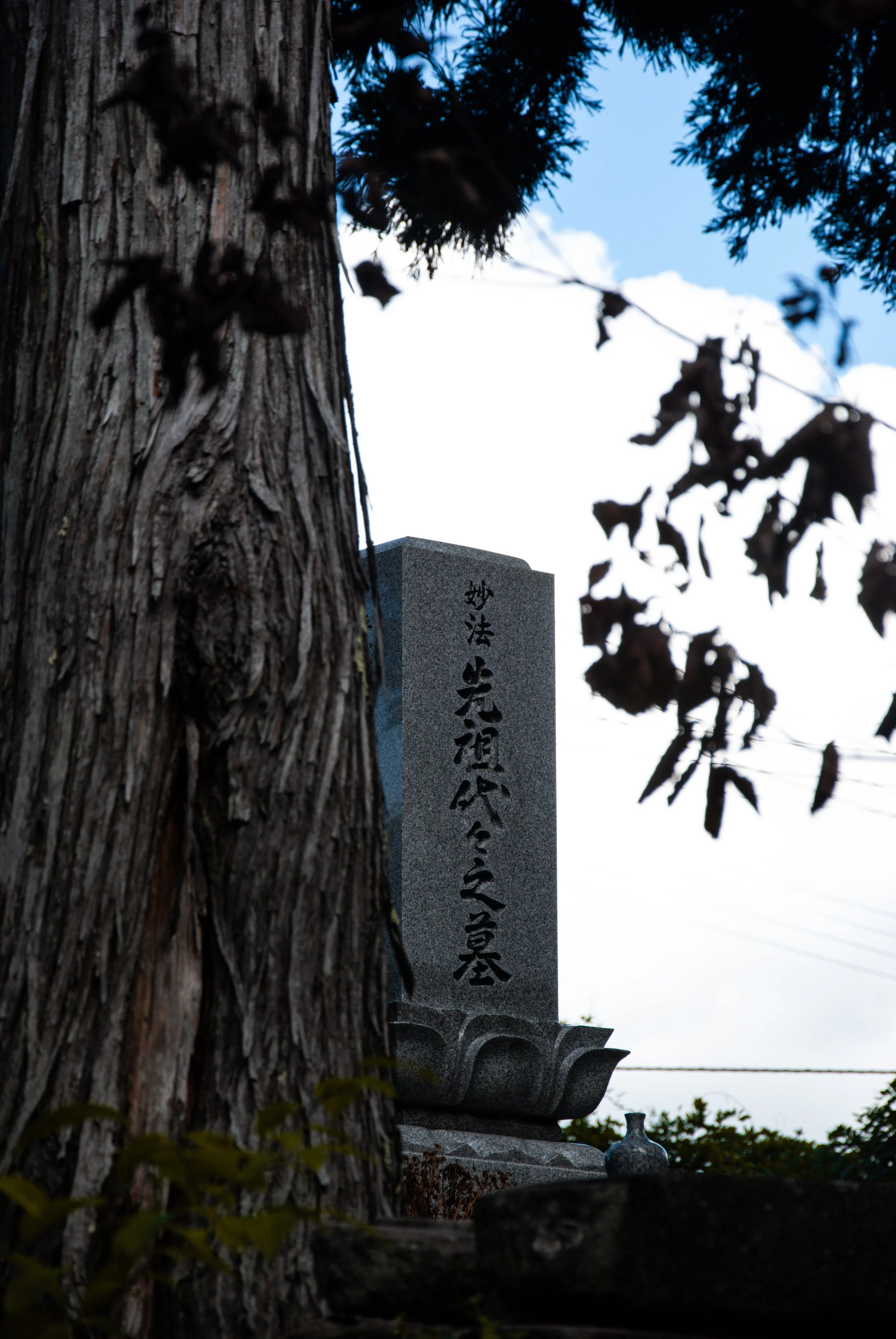 散歩 (21).jpg