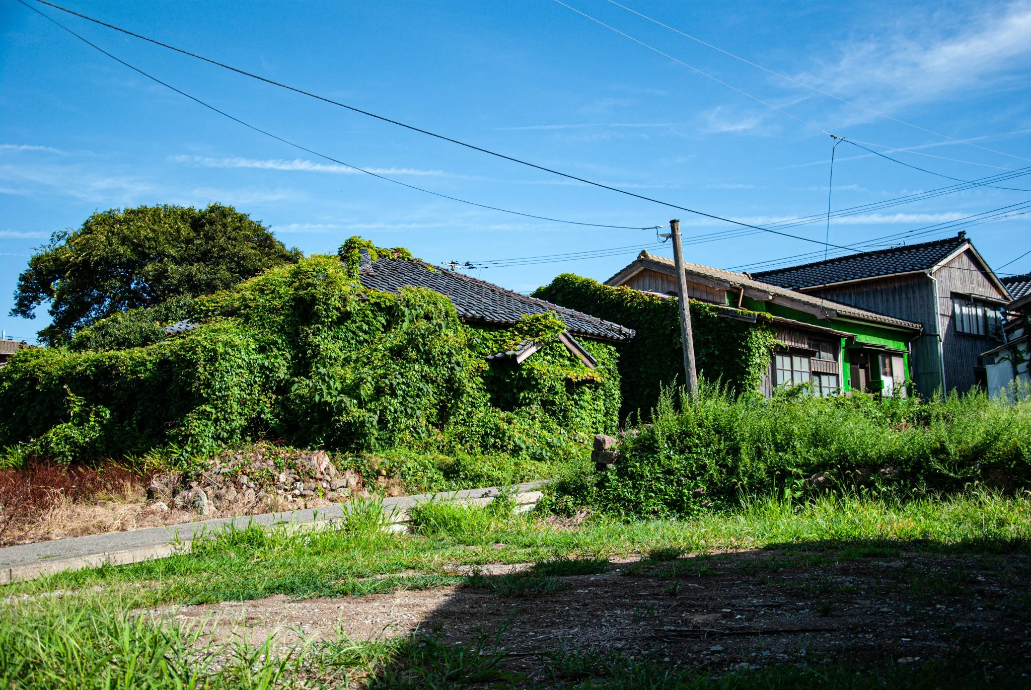 最初の習慣 (51).jpg