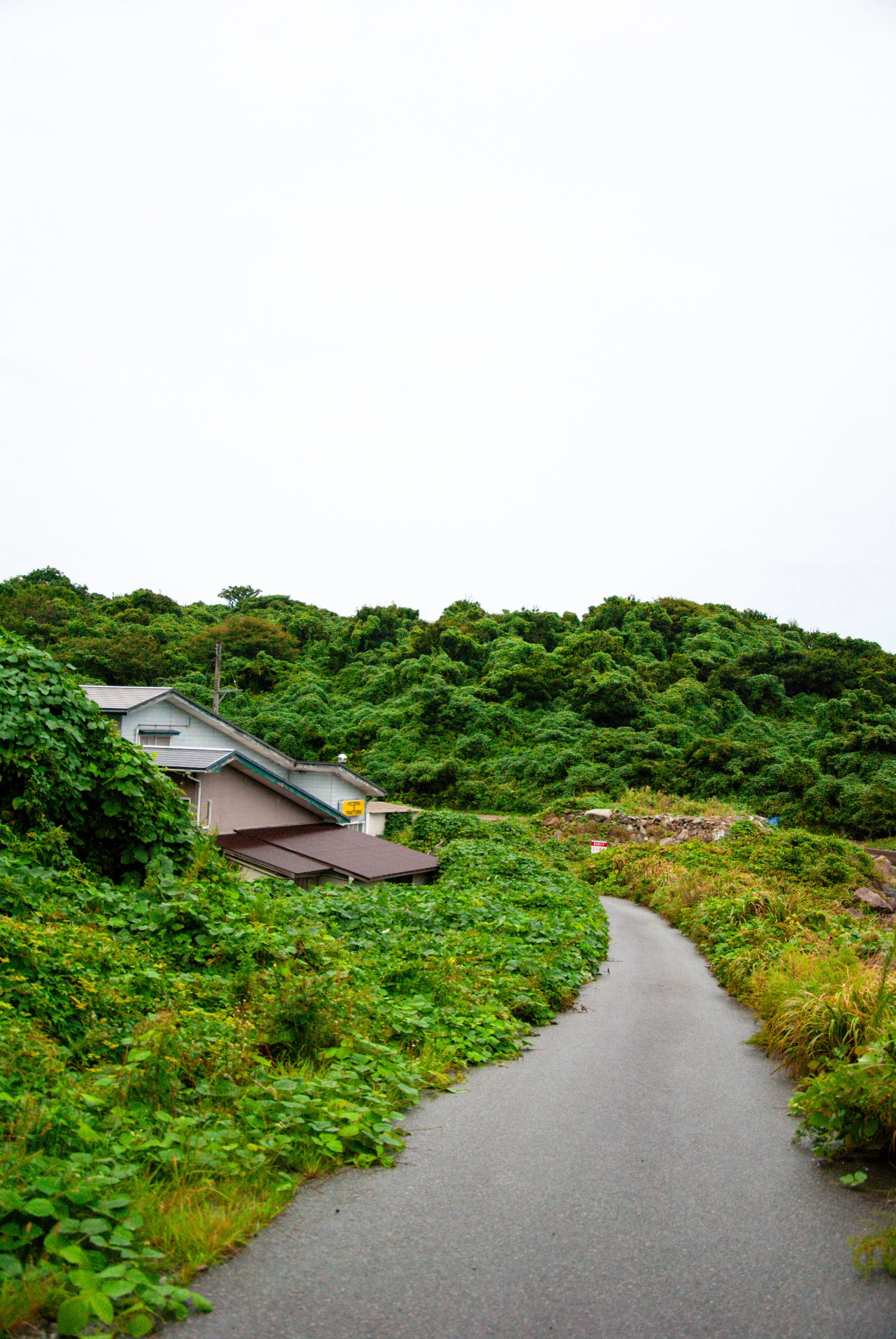 二ツ亀と長国寺 (8).jpg
