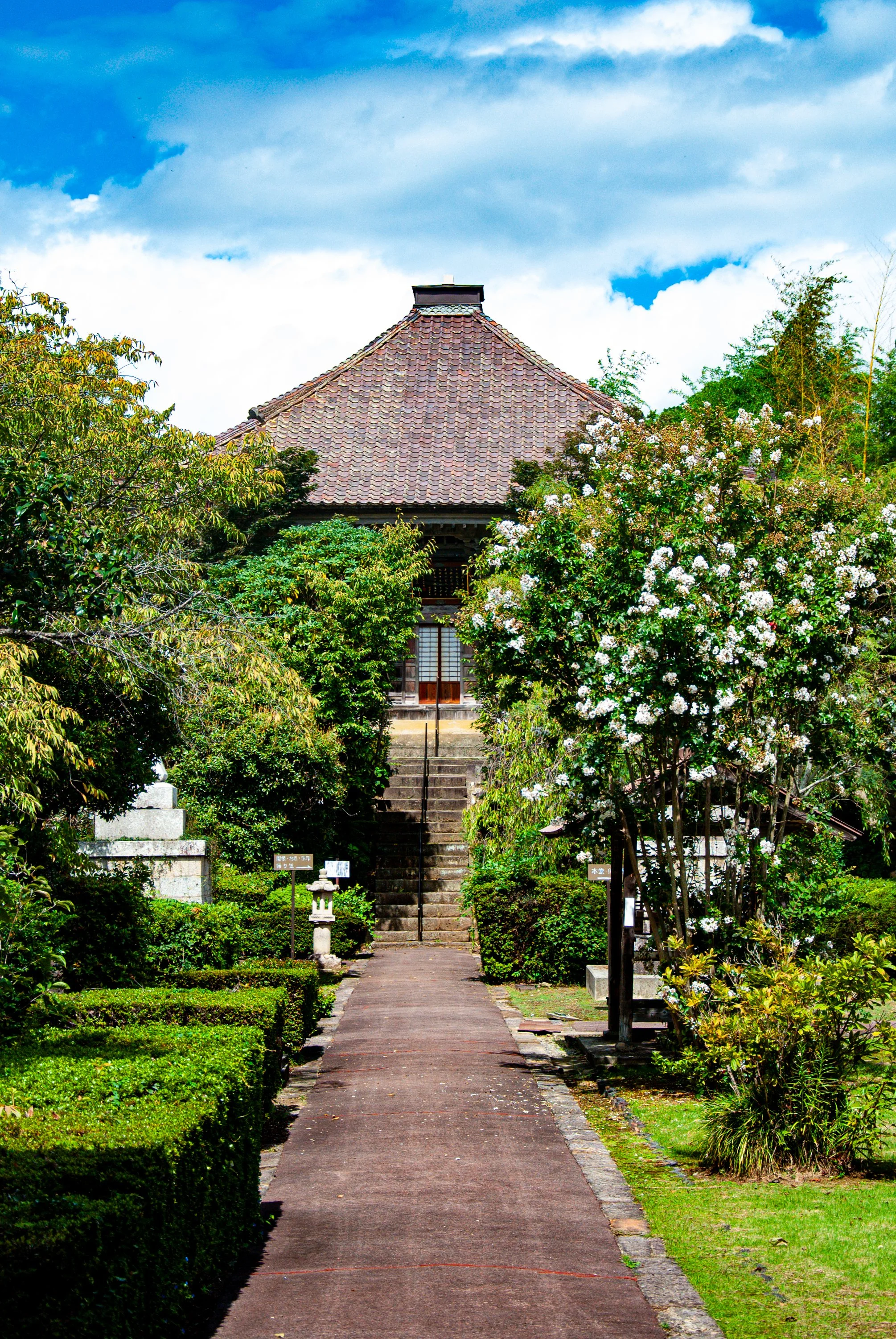 こんぽんじと祭り (7).jpg