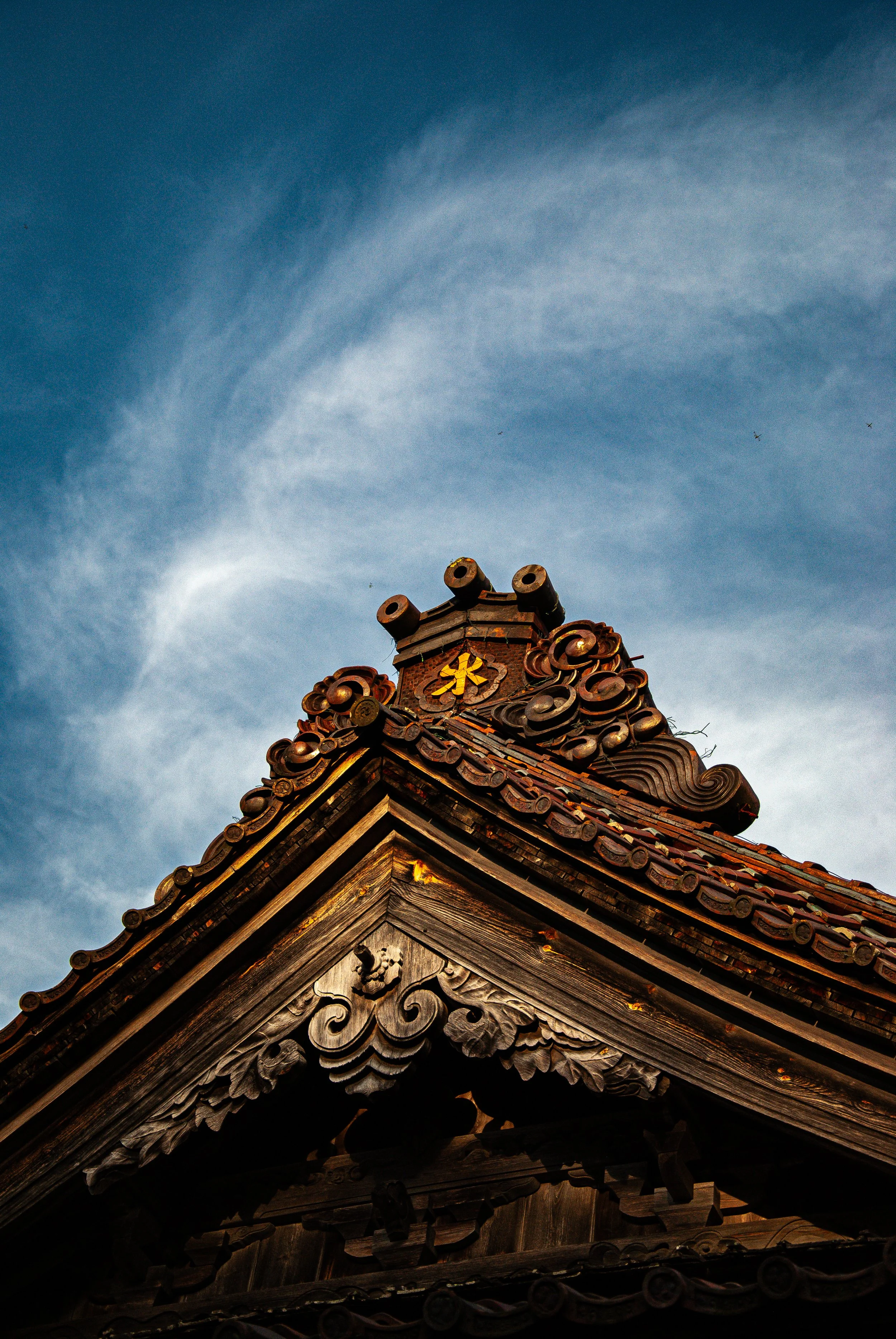 散歩 (31).jpg