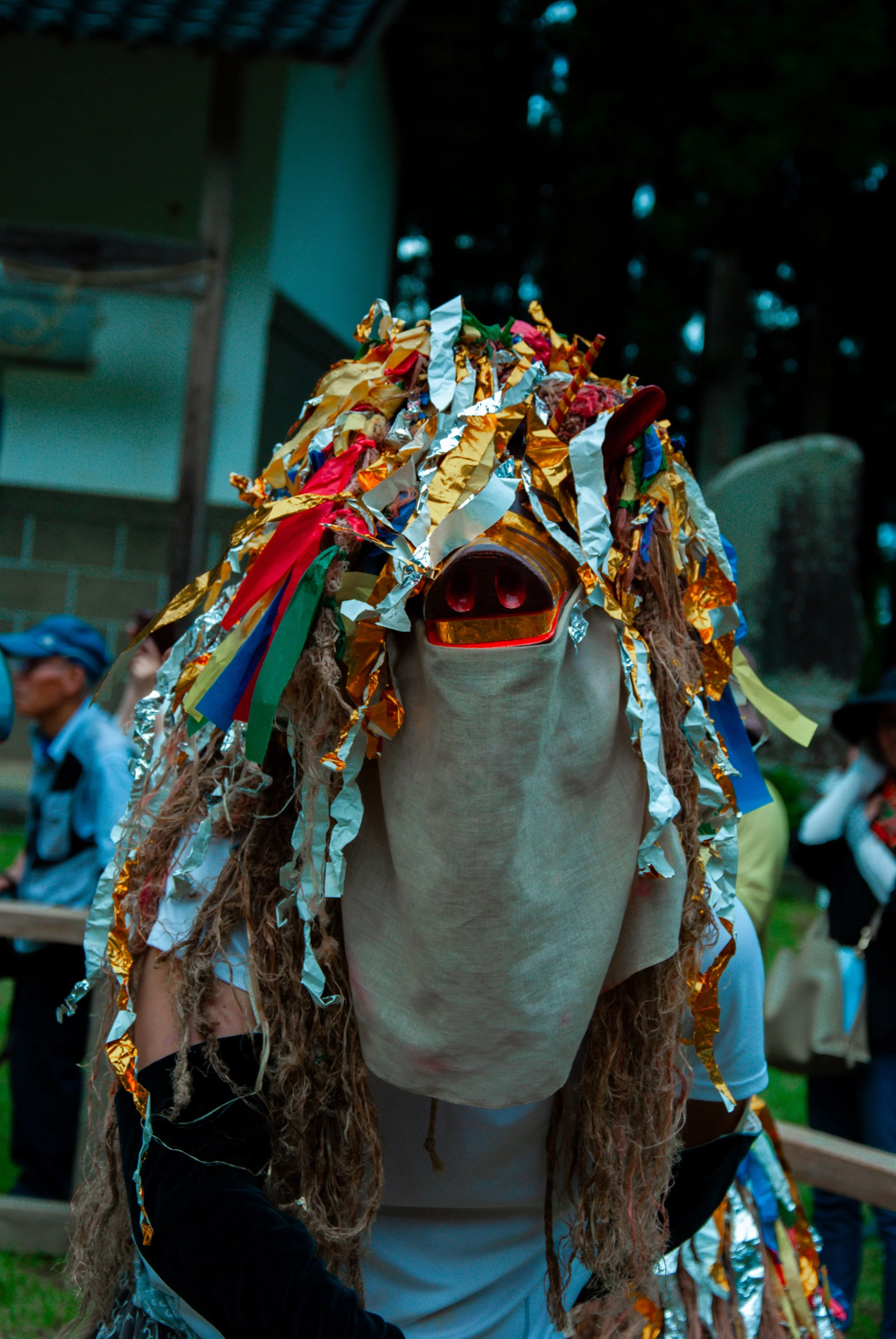 こんぽんじと祭り (30).jpg