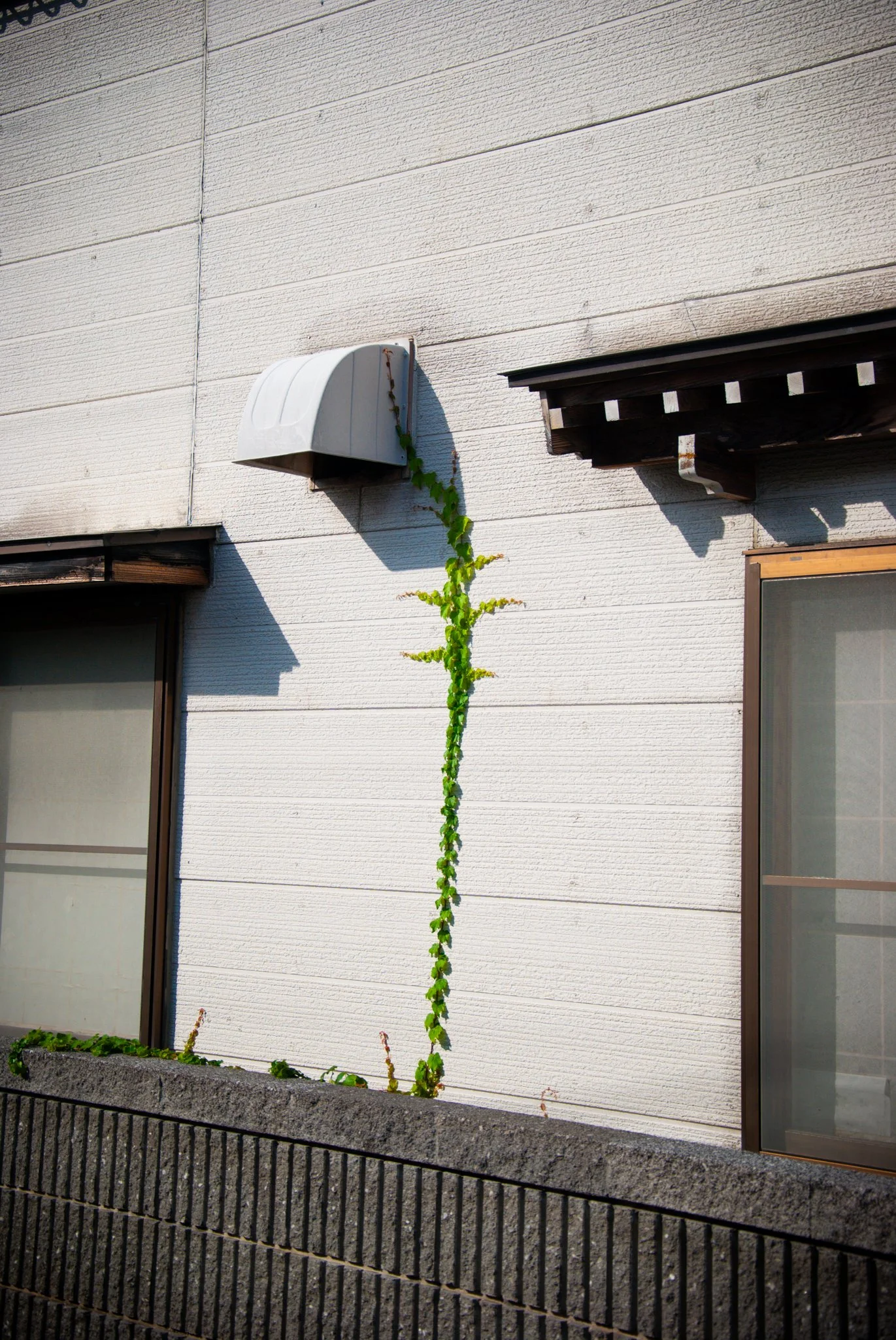 最初の習慣 (63).jpg