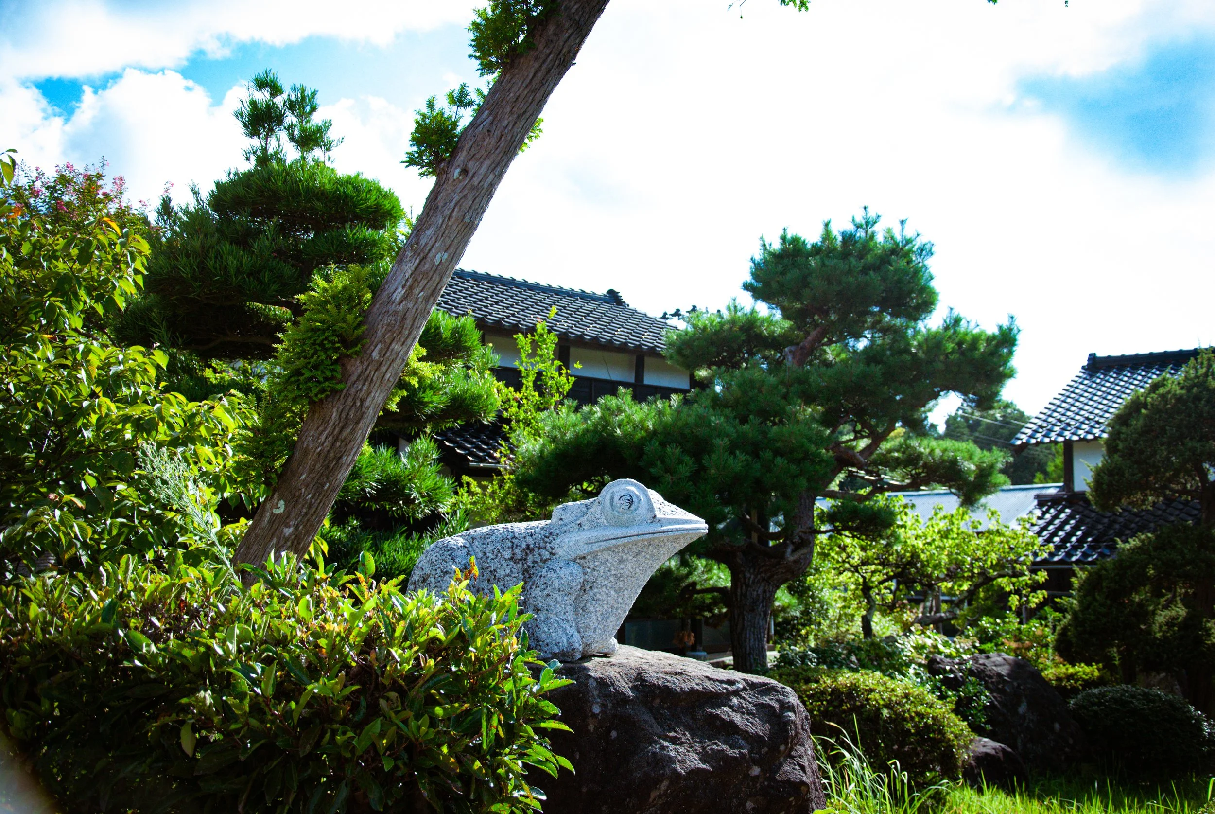 散歩 (29).jpg