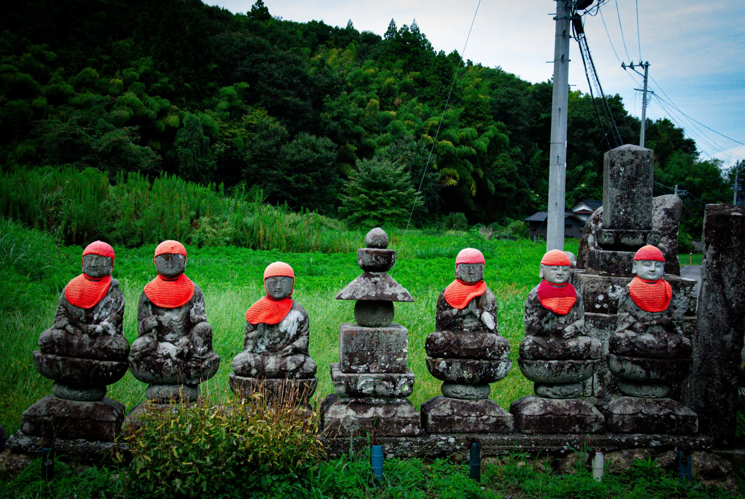 散歩 (8).jpg