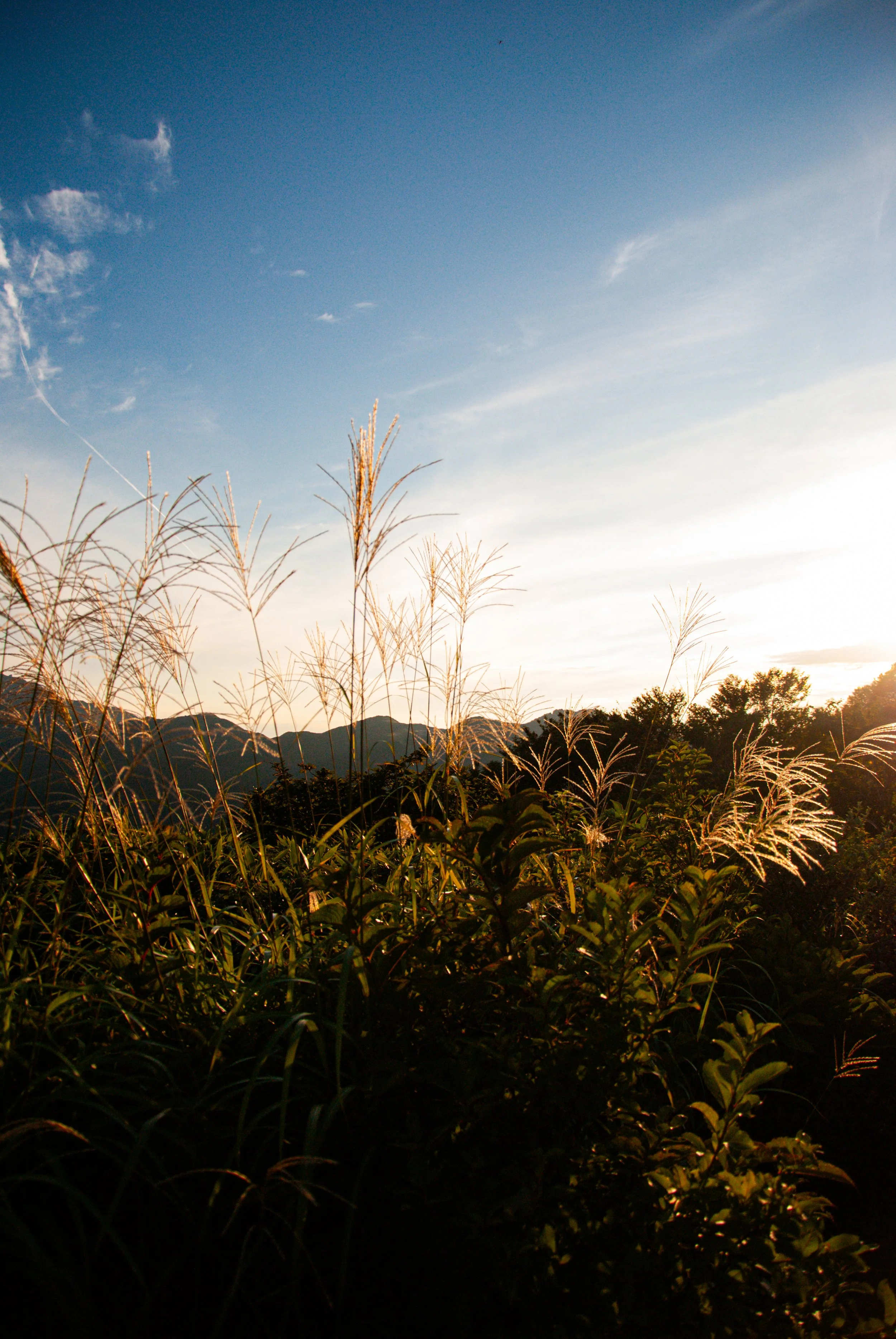 ドンデンからの夕日 (8).jpg
