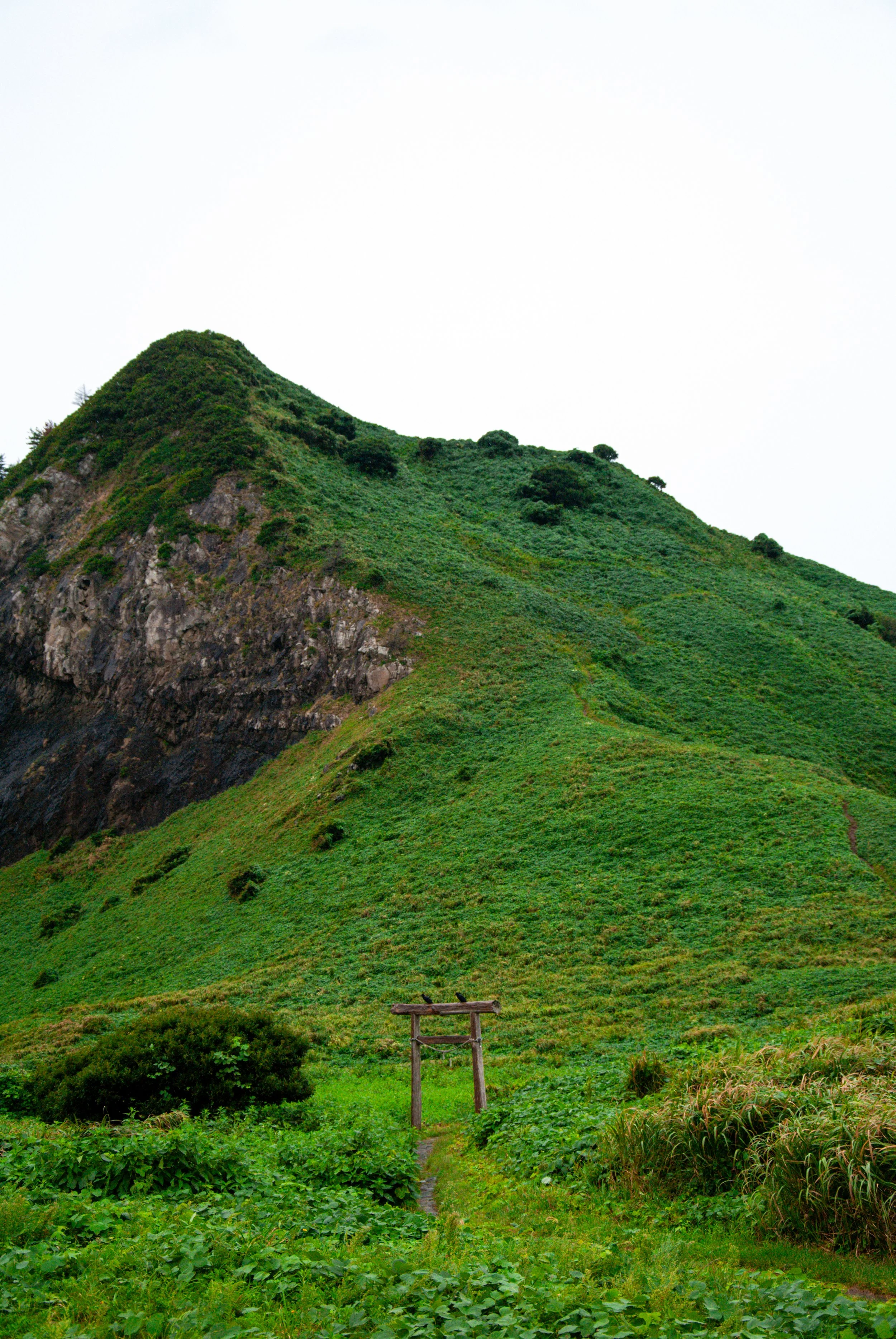 二ツ亀と長国寺 (10).jpg