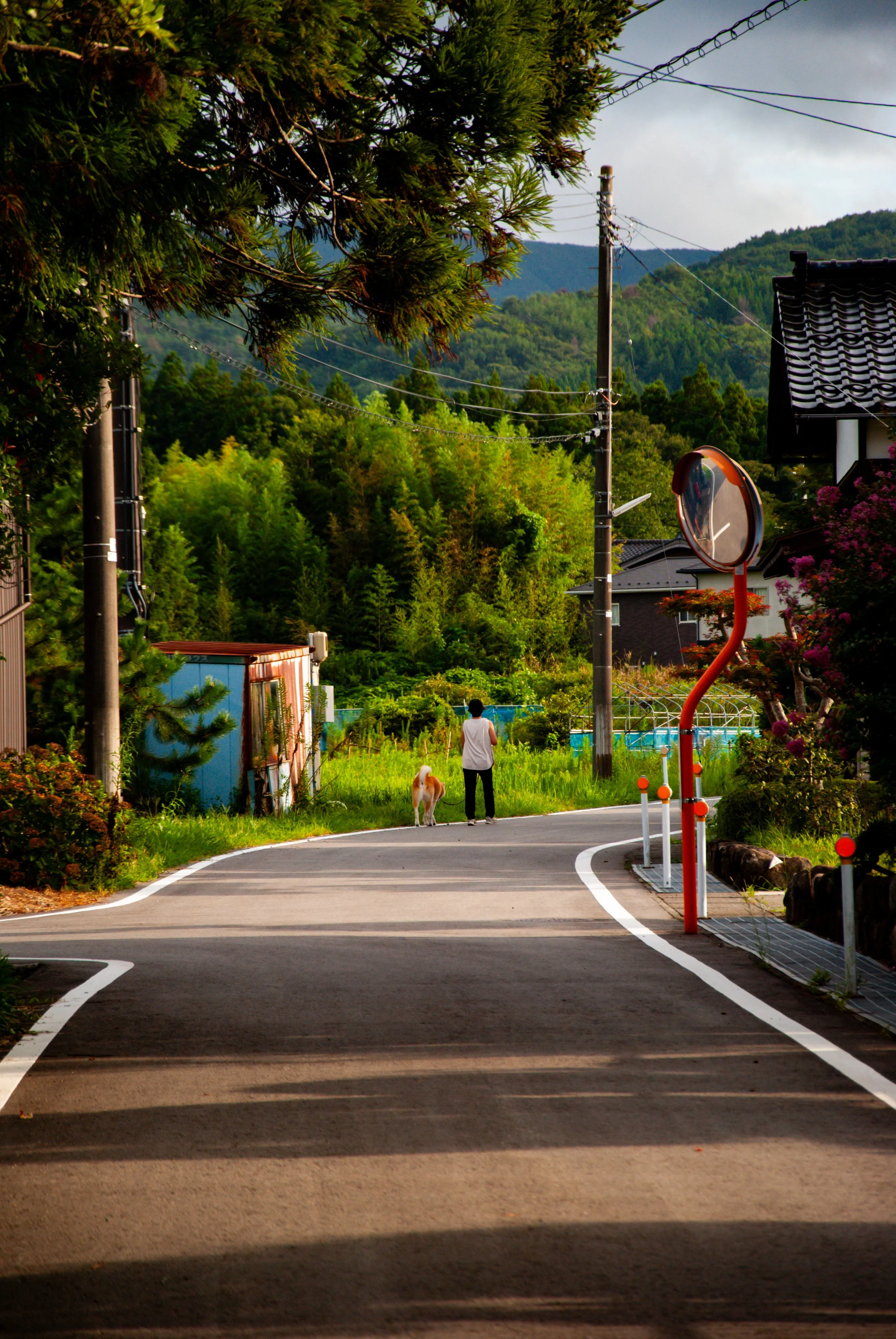 散歩 (16).jpg
