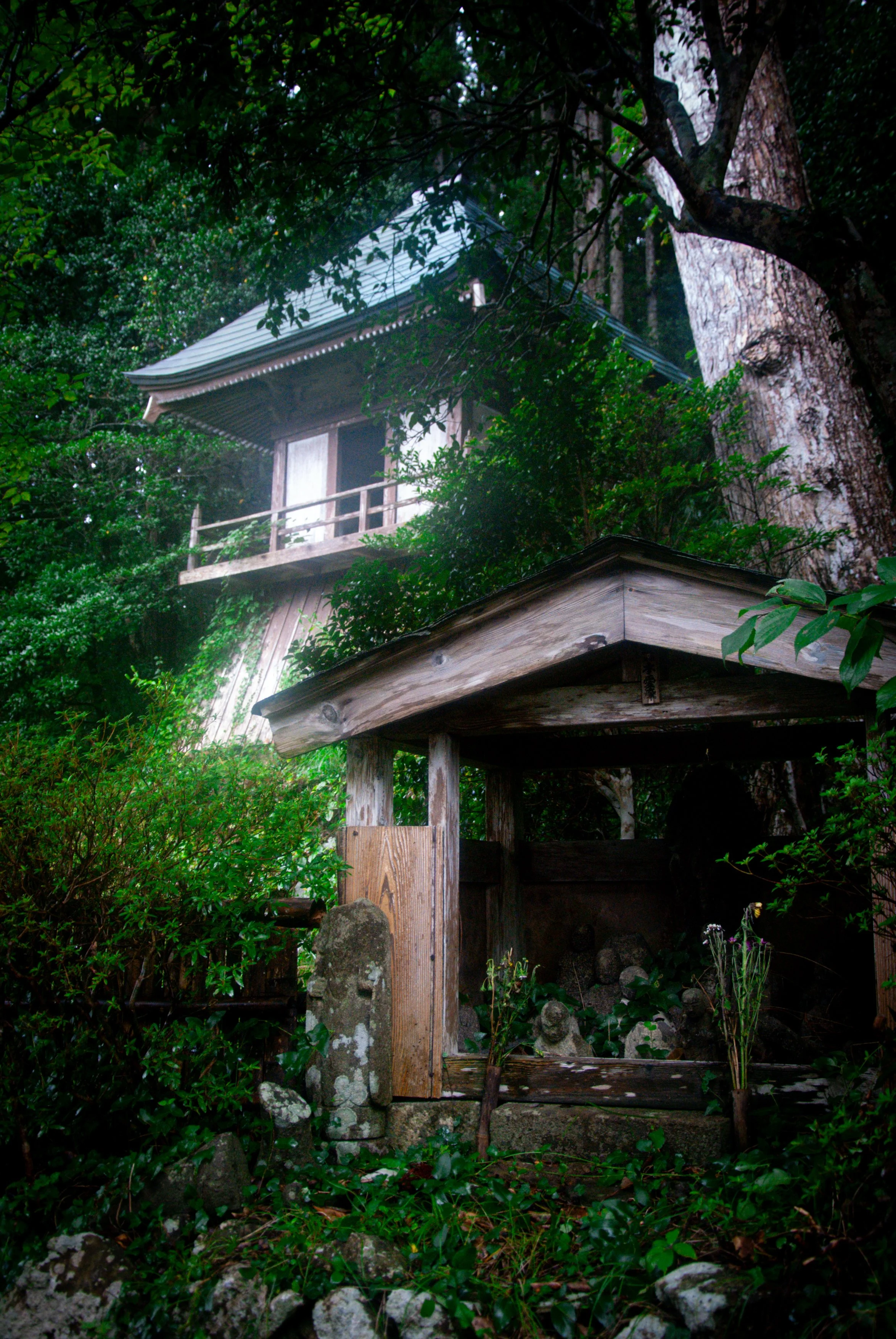 散歩 (3).jpg