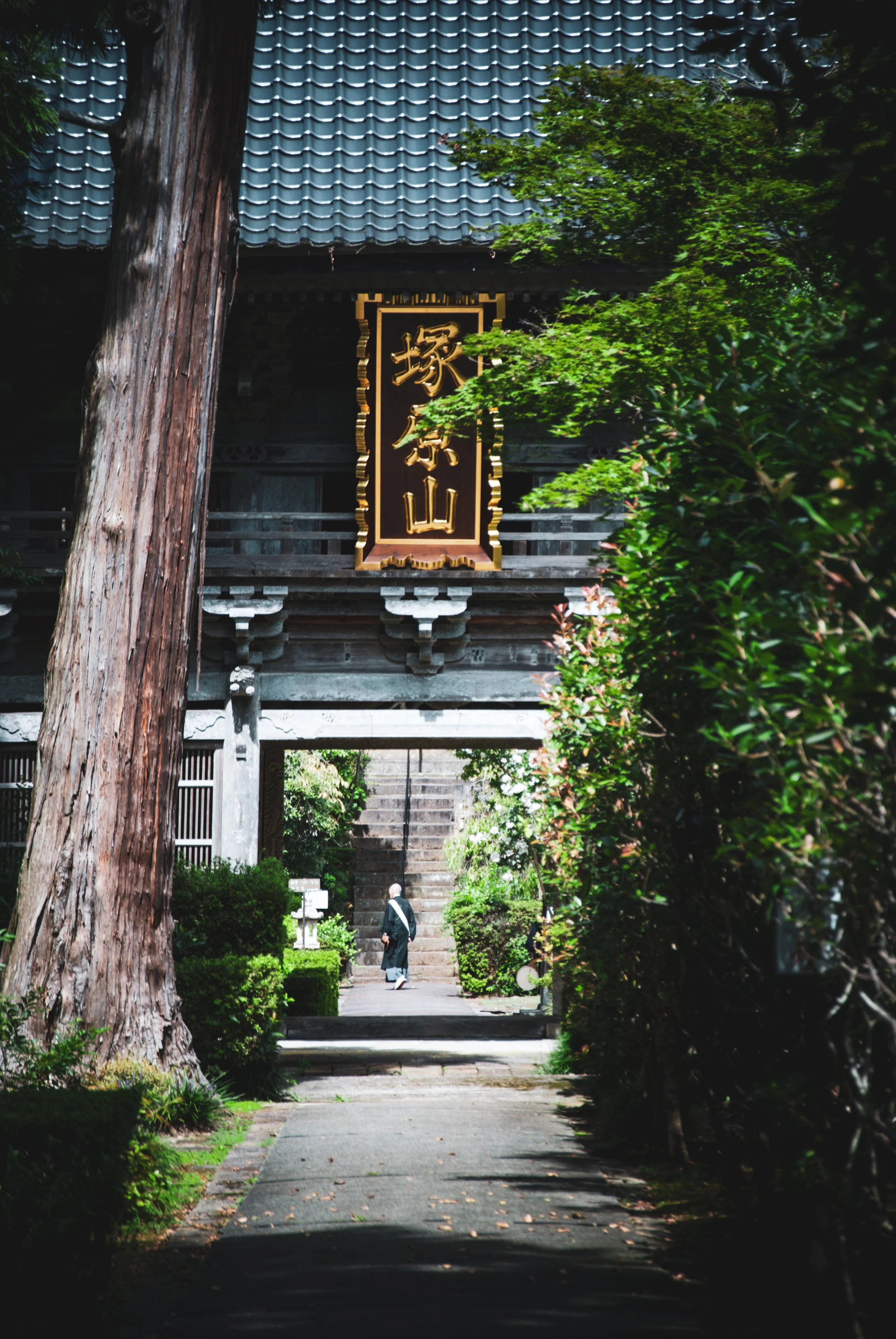 こんぽんじと祭り (4).jpg