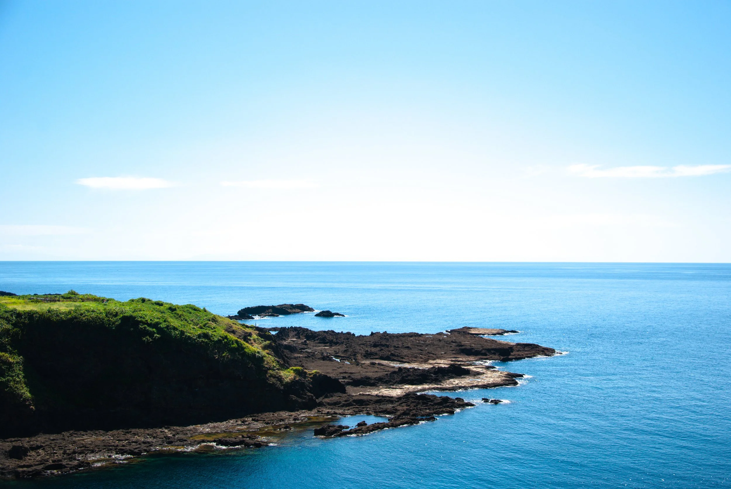 太古の日 (3).jpg