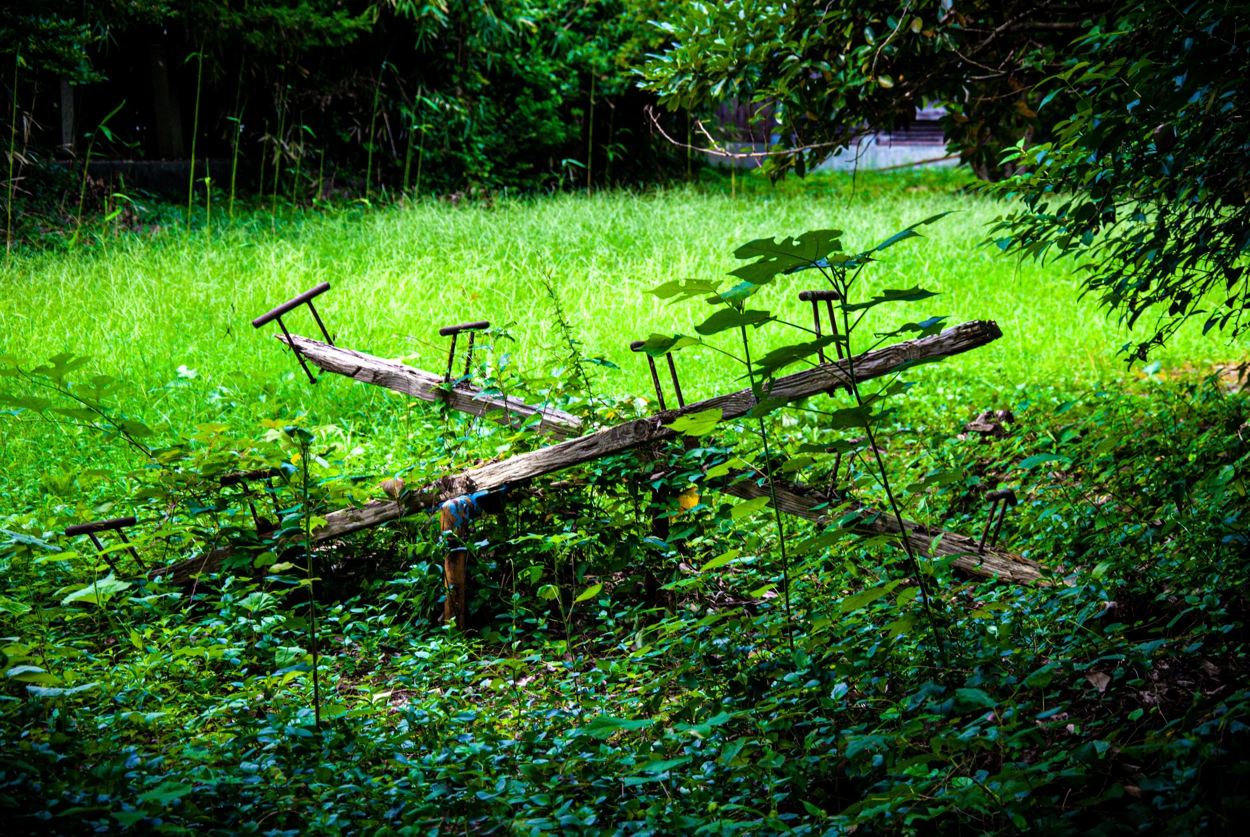 両津と色んな場所 (37).jpg