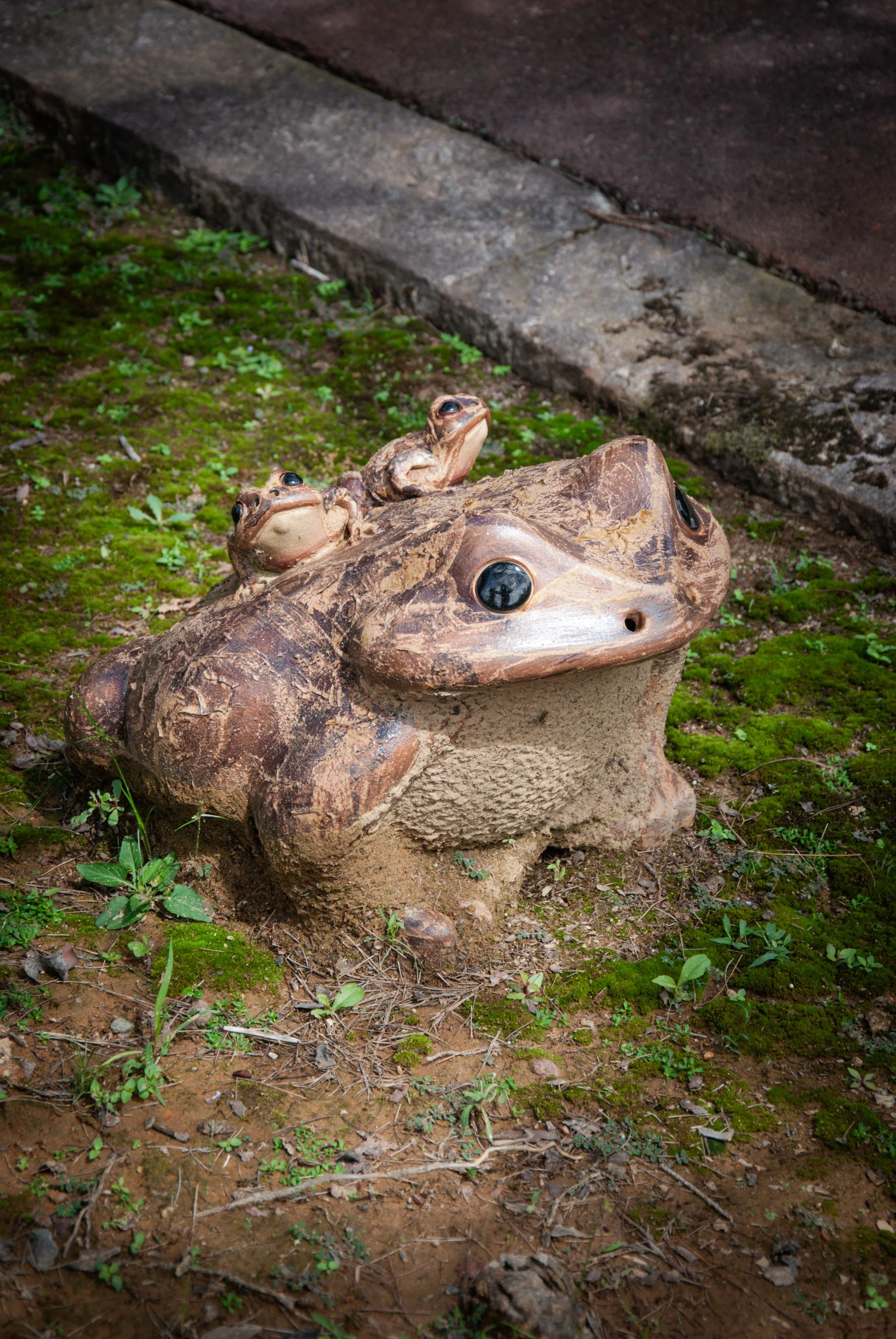 こんぽんじと祭り (9).jpg