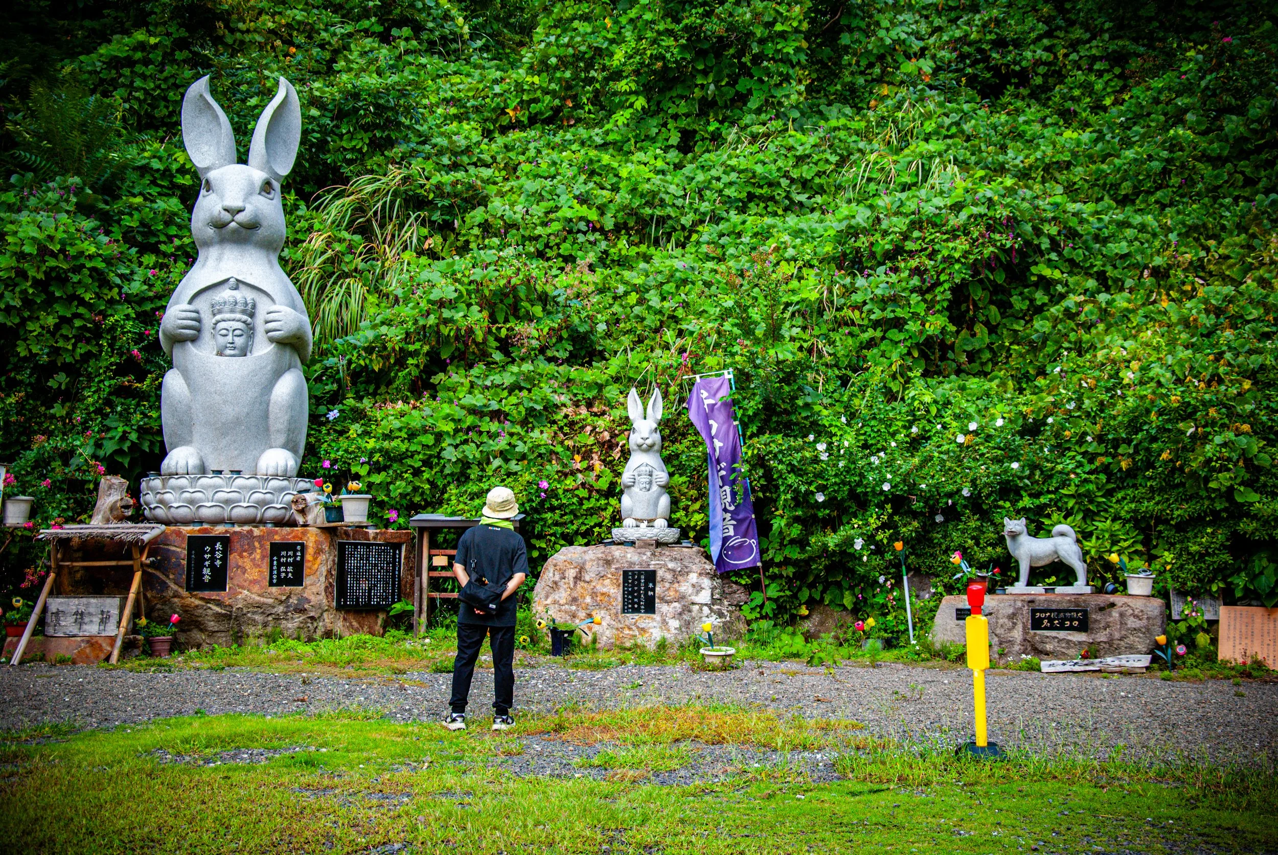 二ツ亀と長国寺 (24).jpg