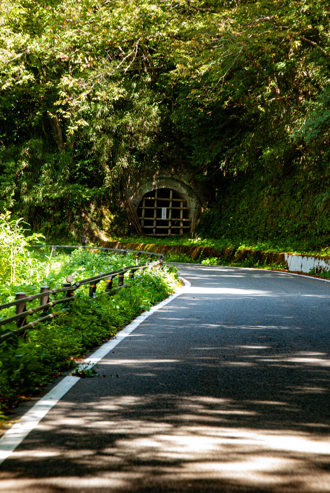 最初の習慣 (40).jpg