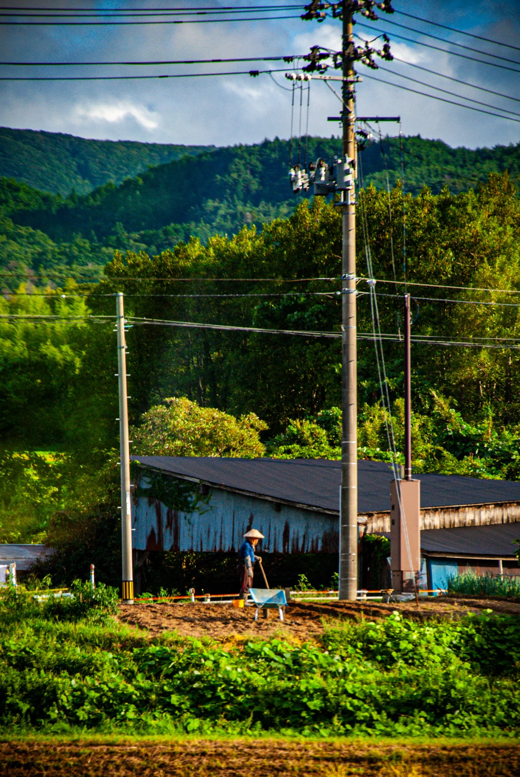 二ツ亀と長国寺 (30).jpg