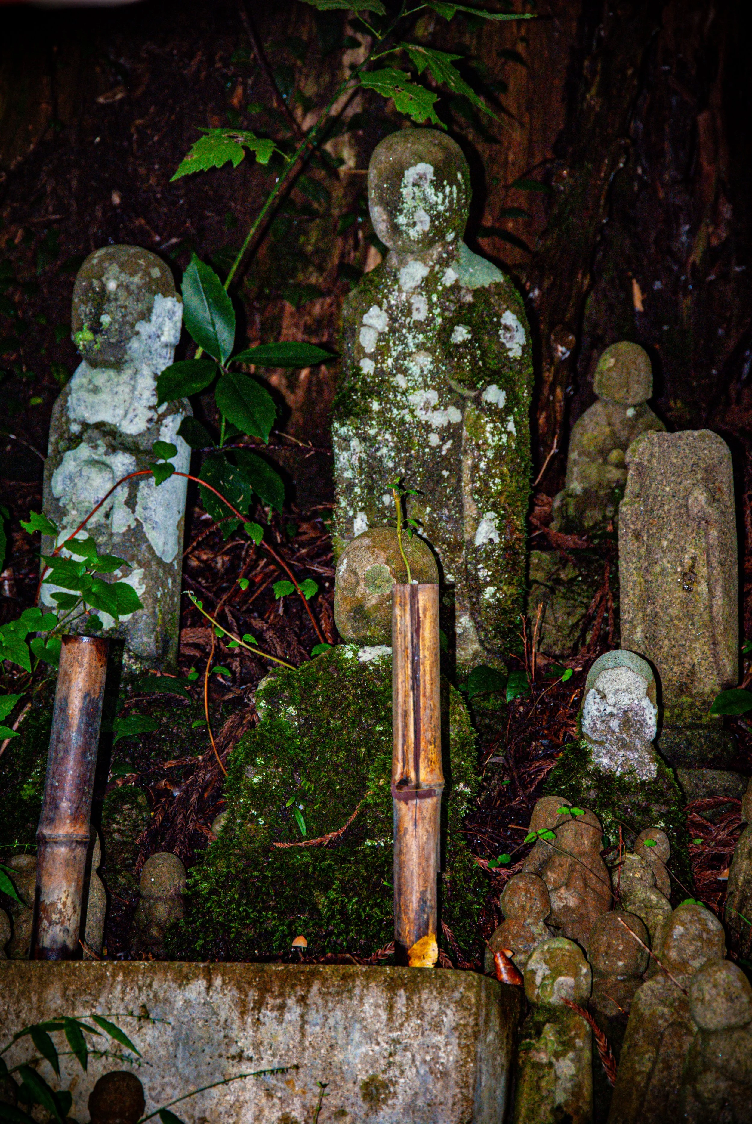 二ツ亀と長国寺 (18).jpg