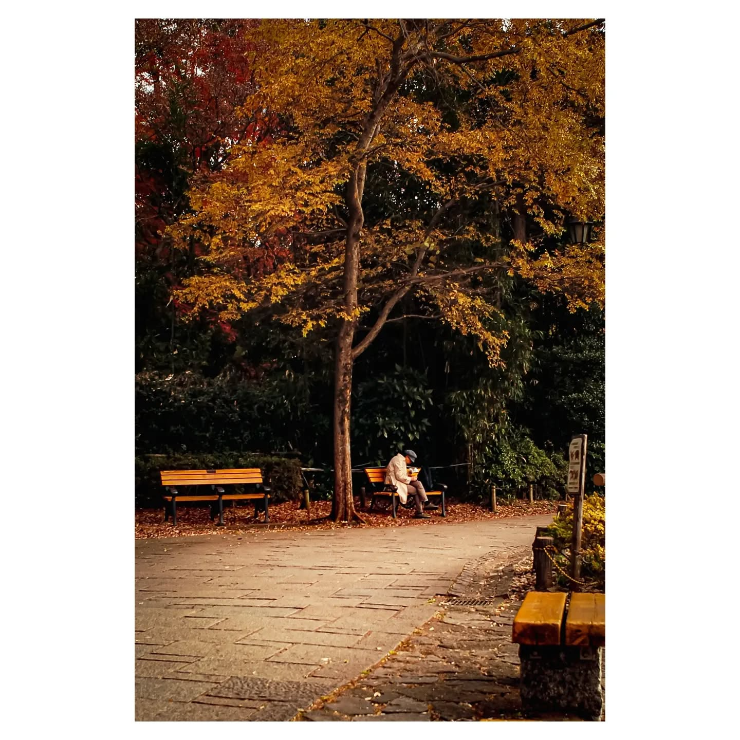 471589422_2460509340947241_7134969775393666542_n_18086740030530089.png