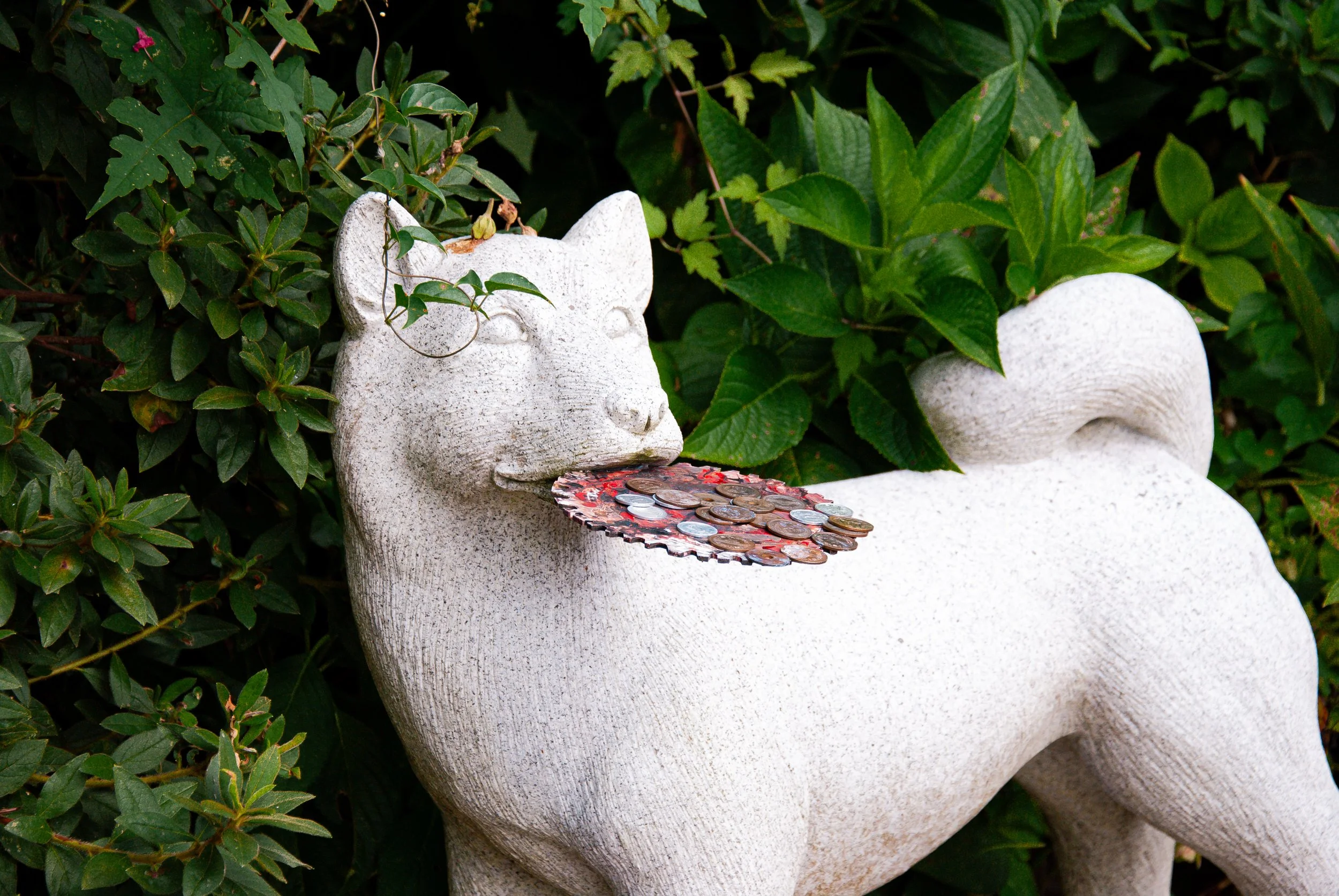 二ツ亀と長国寺 (26).jpg