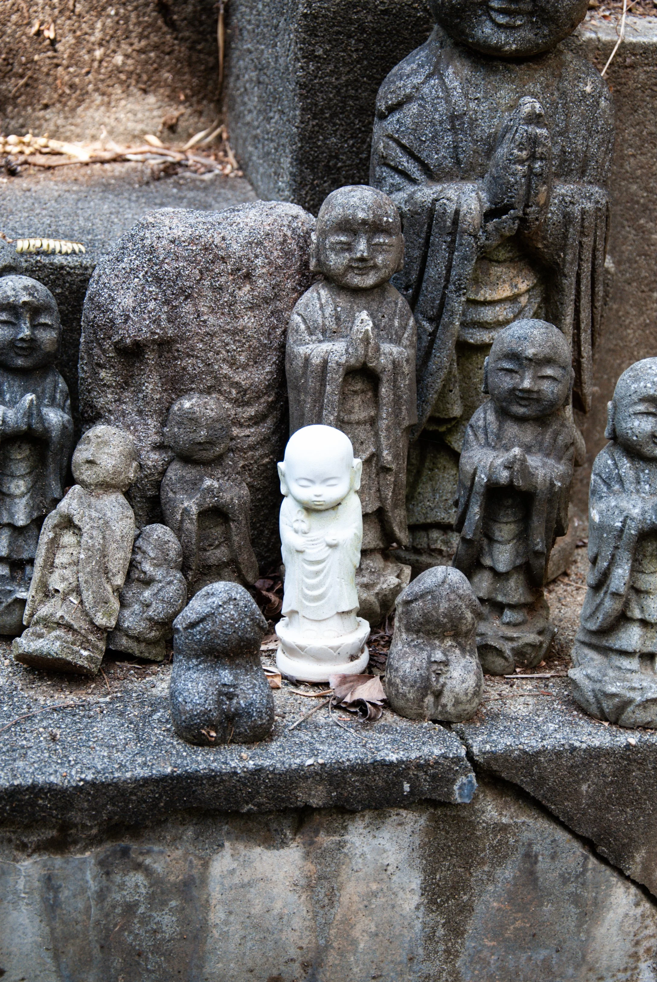 散歩 (38).jpg