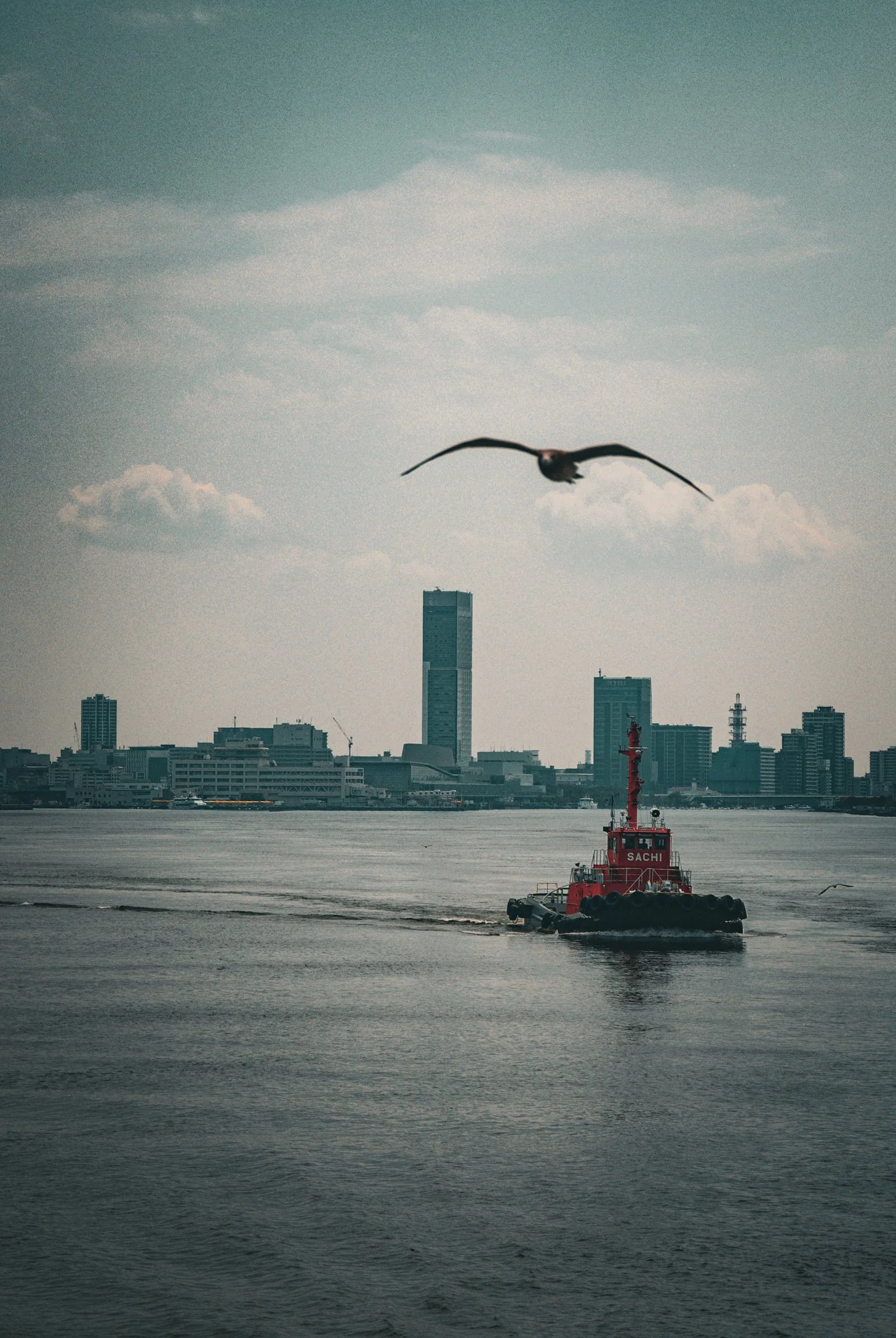 最初の習慣 (18).jpg